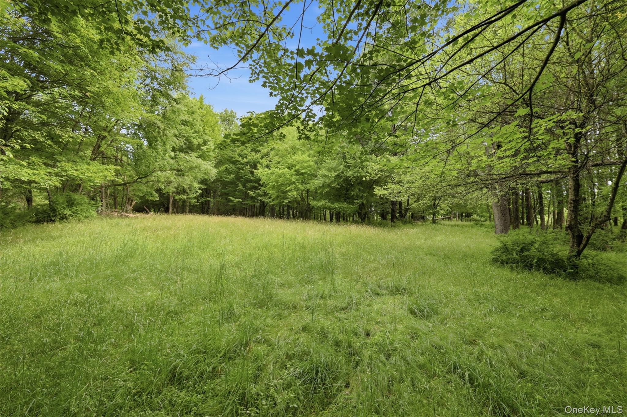 Single Family Cold Spring Road Sullivan County, NY 12754, MLS-1018544-28
