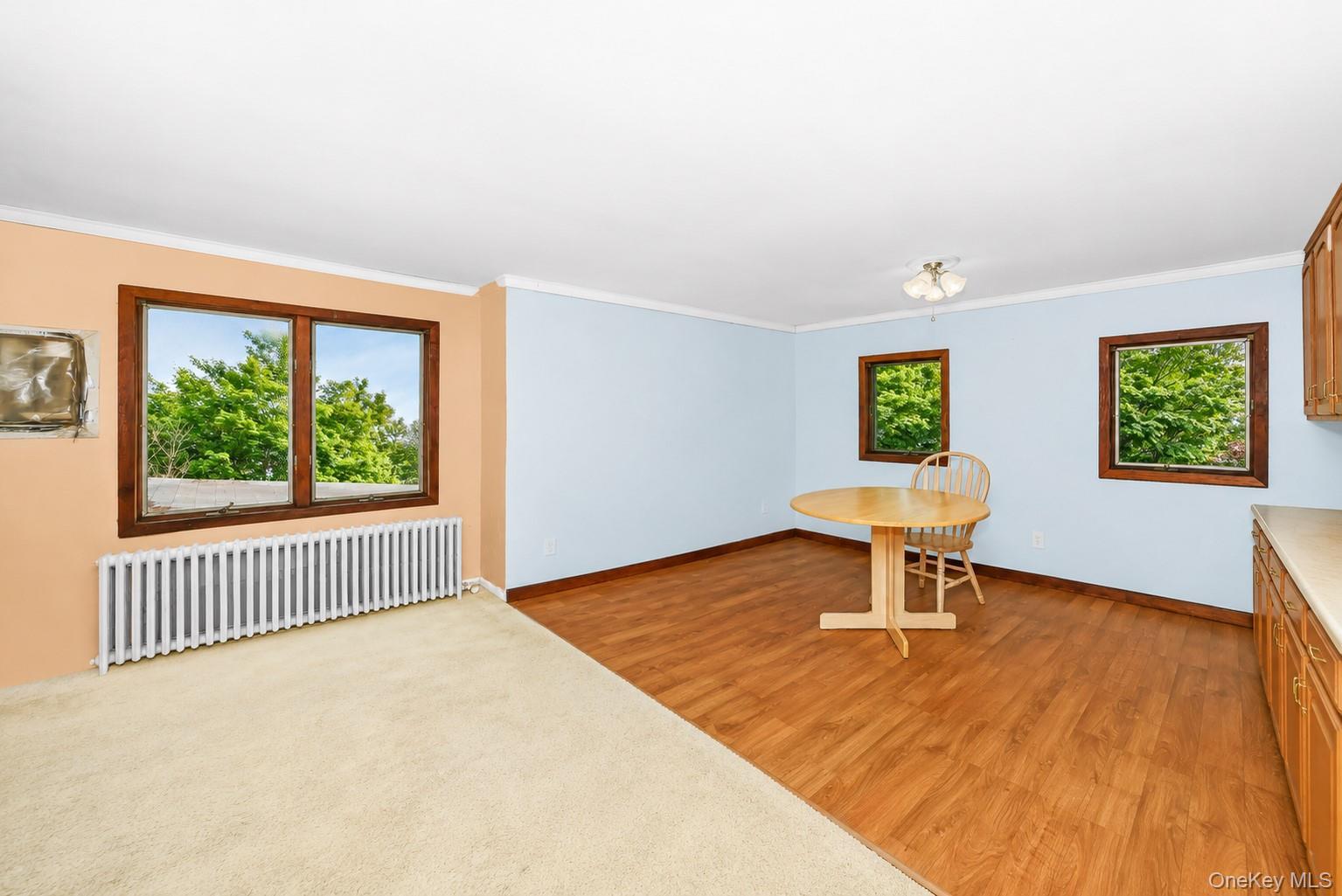 Single Family Columbus Avenue Suffolk County, NY 11704, MLS-1018623-23