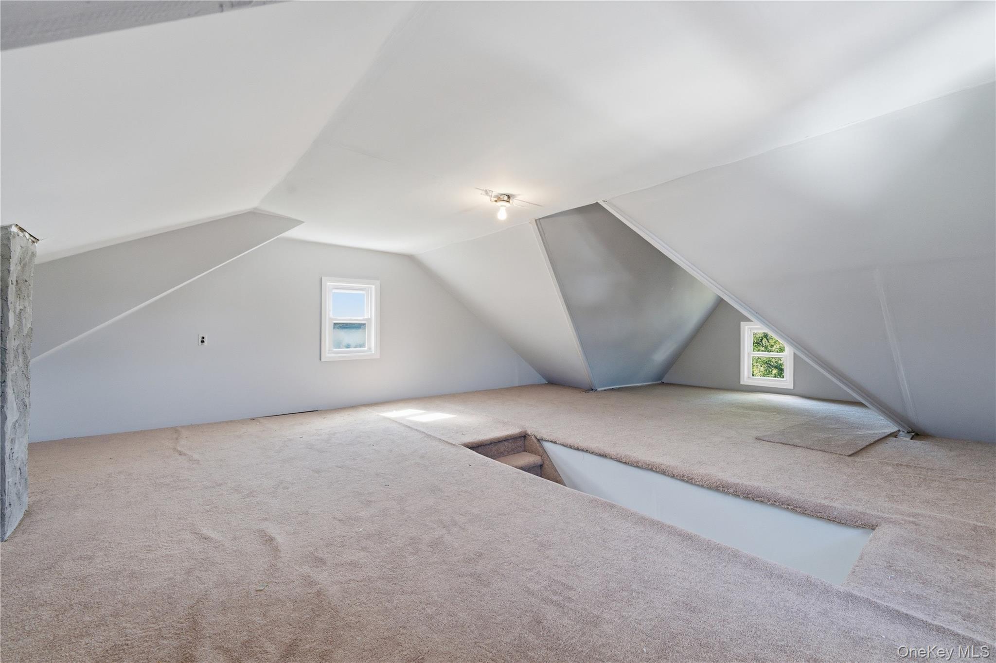 Single Family Elm Street Nassau County, NY 11580, MLS-1018627-11