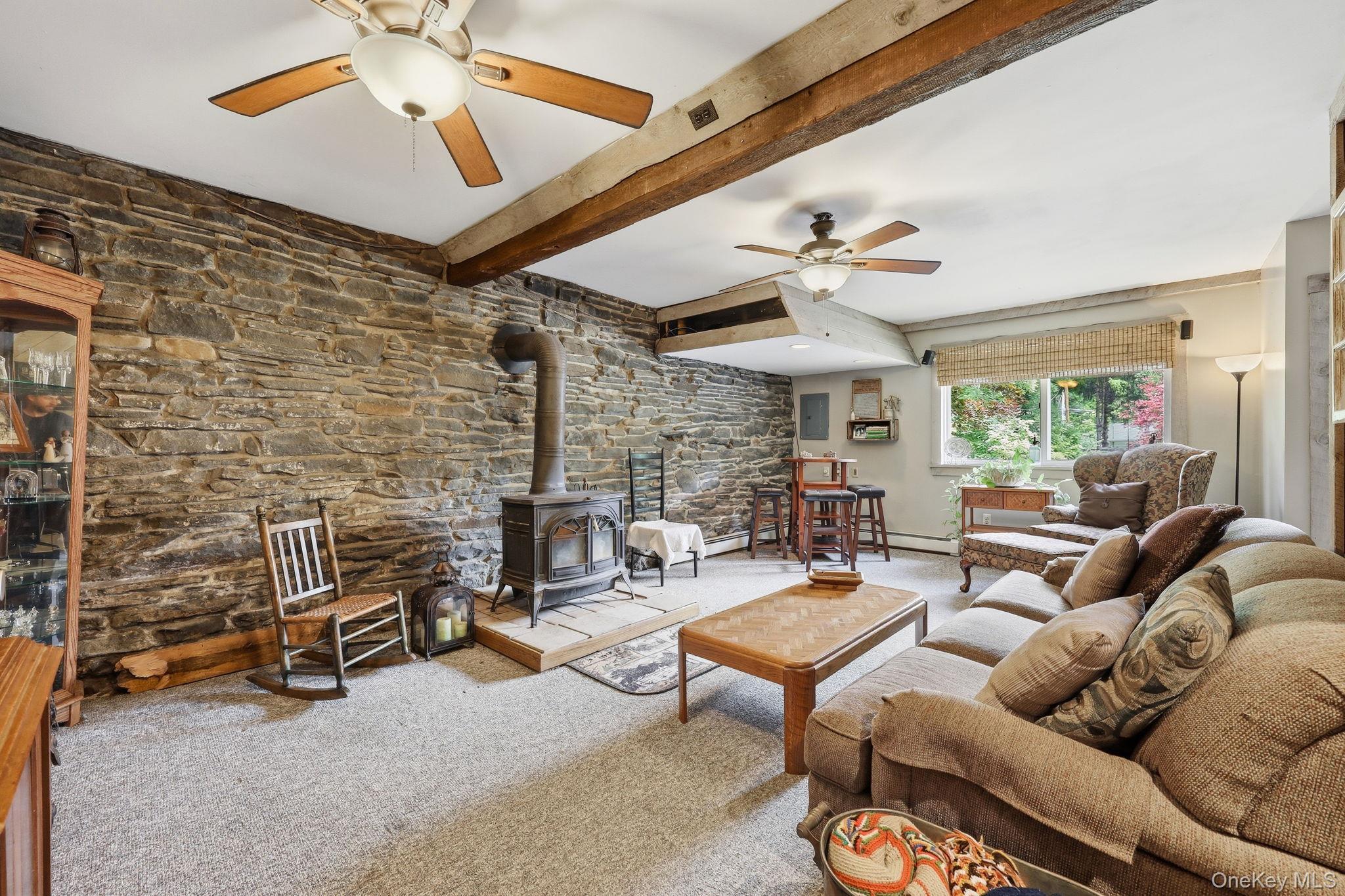 Single Family Main Street Ulster County, NY 12458, MLS-1018630-25