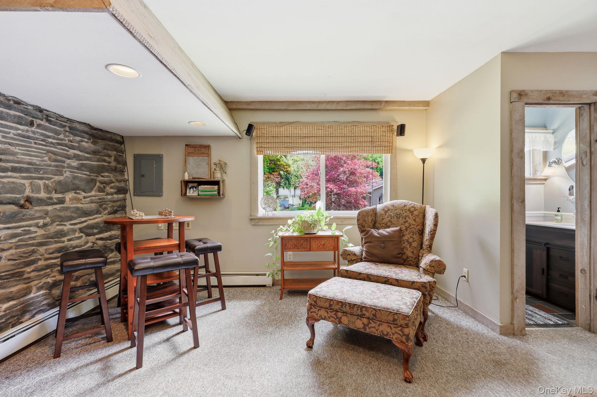 Single Family Main Street Ulster County, NY 12458, MLS-1018630-28