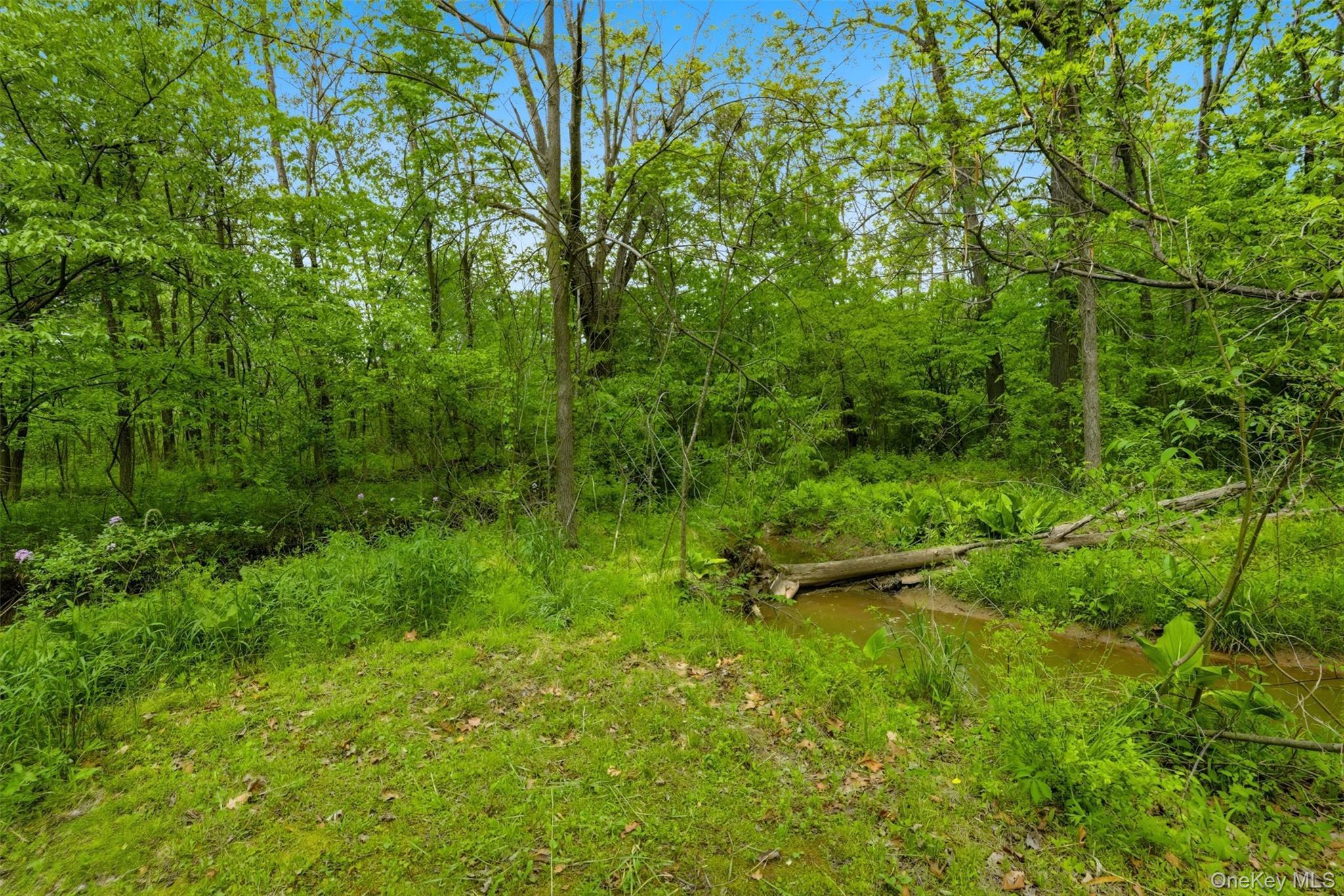 Single Family Academy Street  Ulster County, NY 12446, MLS-1018651-35