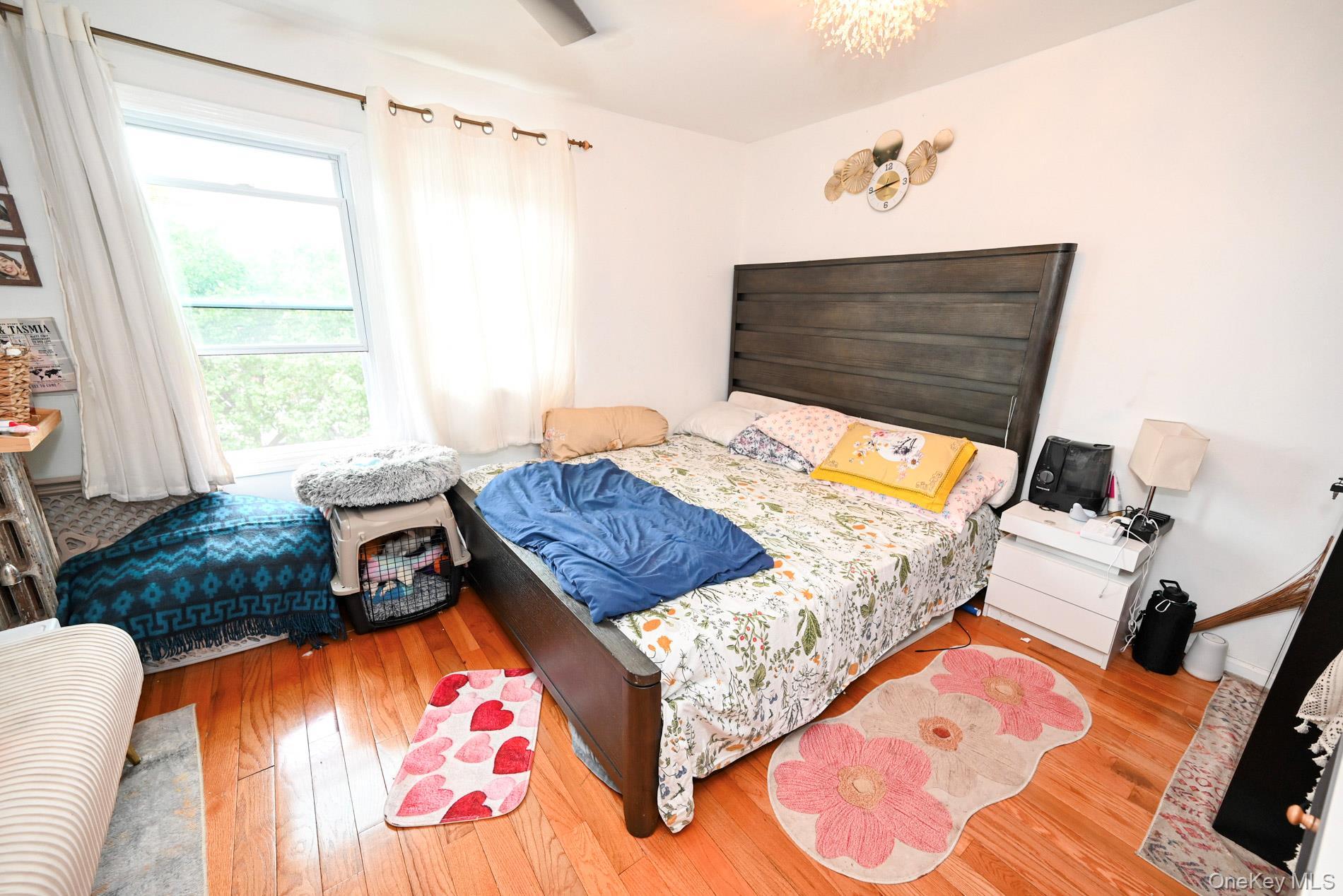Single Family Sutter Avenue Queens, NY 11436, MLS-1018677-13