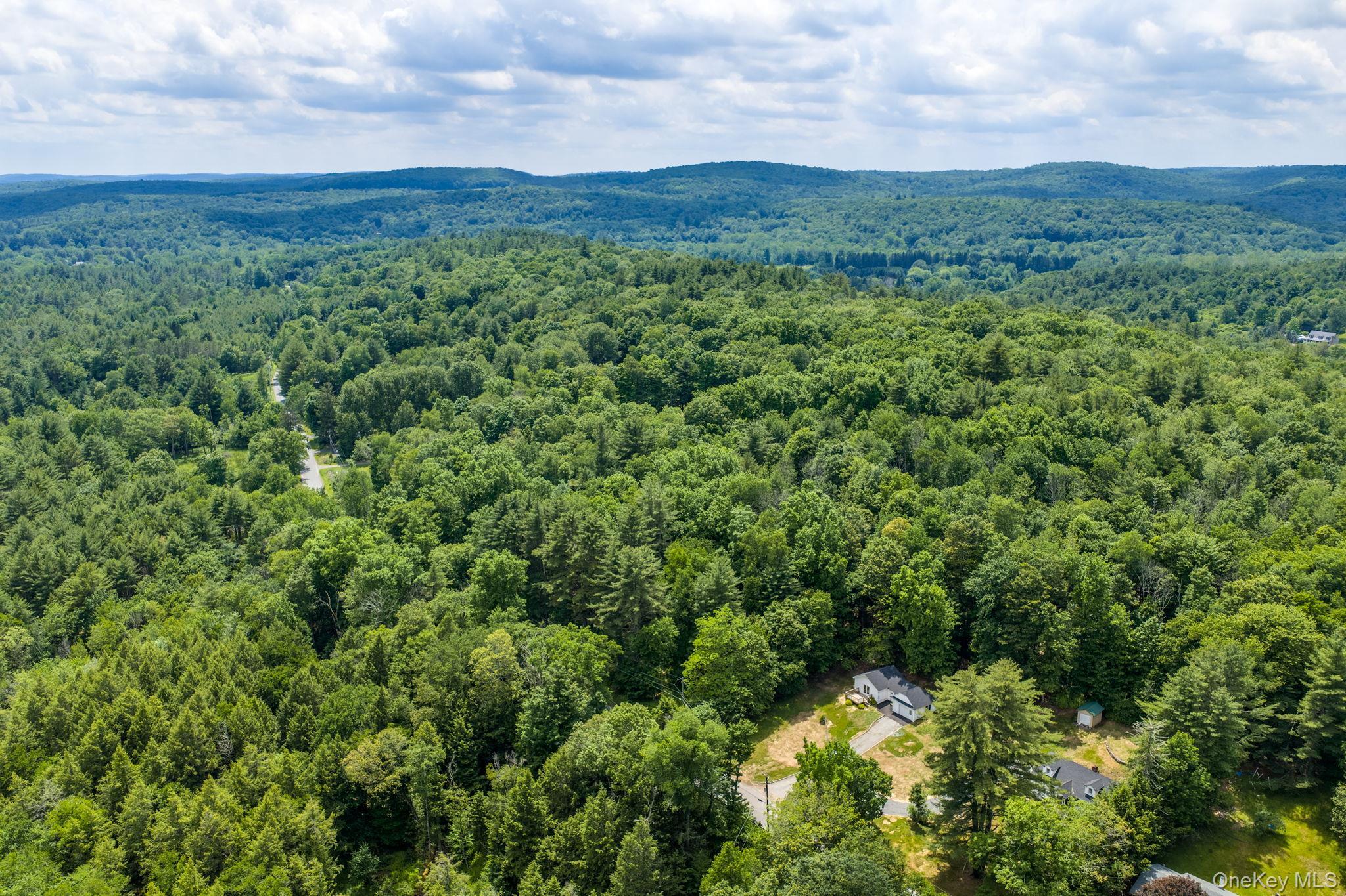 Single Family Benton Hollow Road  Sullivan County, NY 12788, MLS-1018680-46