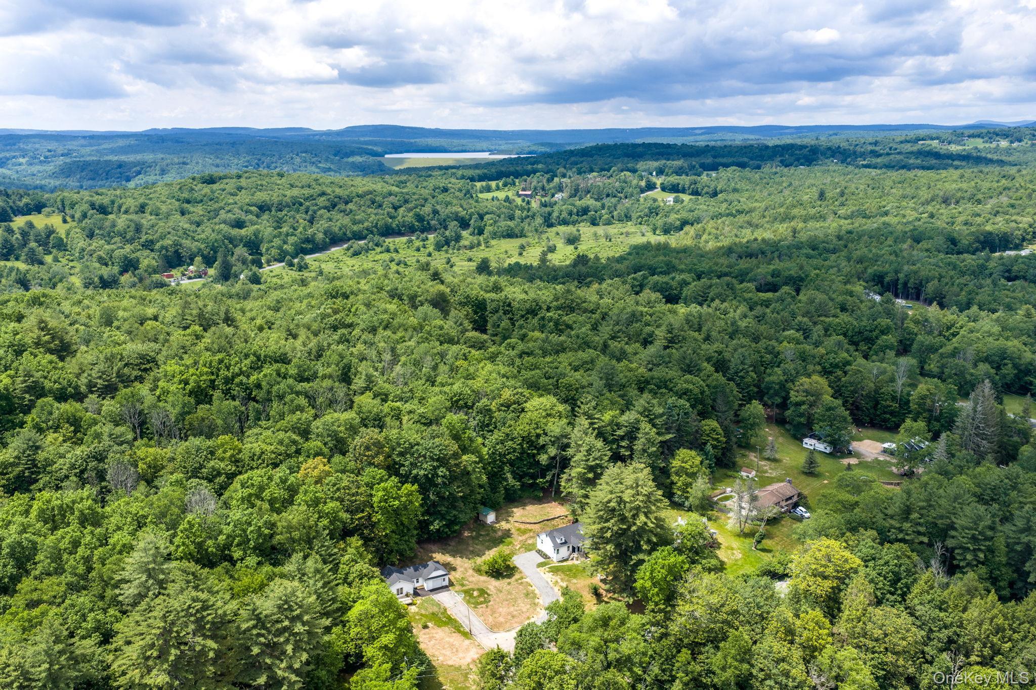 Single Family Benton Hollow Road  Sullivan County, NY 12788, MLS-1018680-49