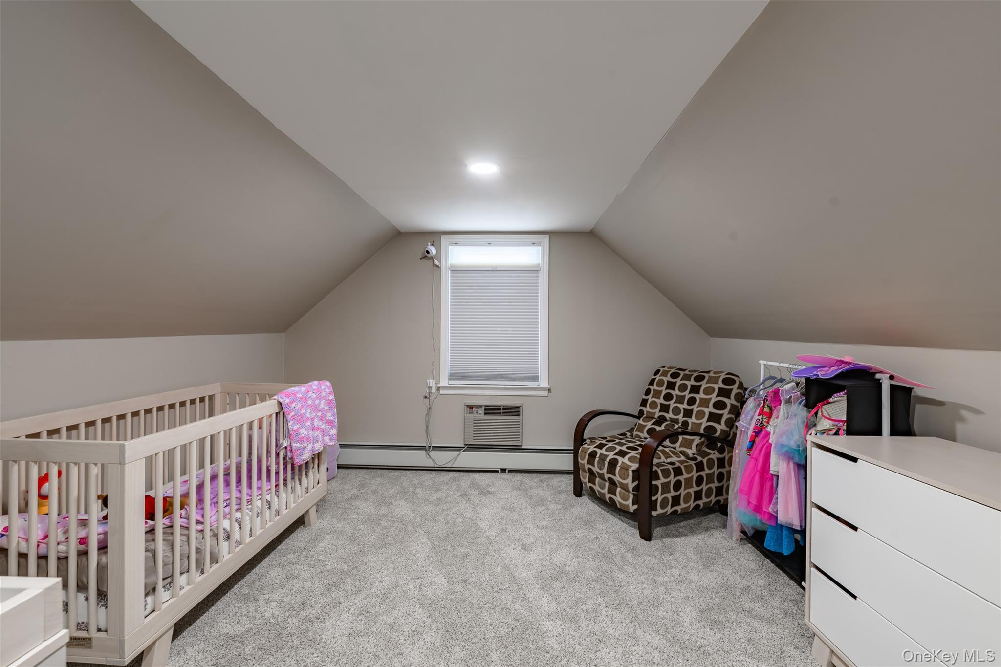 Single Family Telegram Avenue  Nassau County, NY 11003, MLS-1018692-18