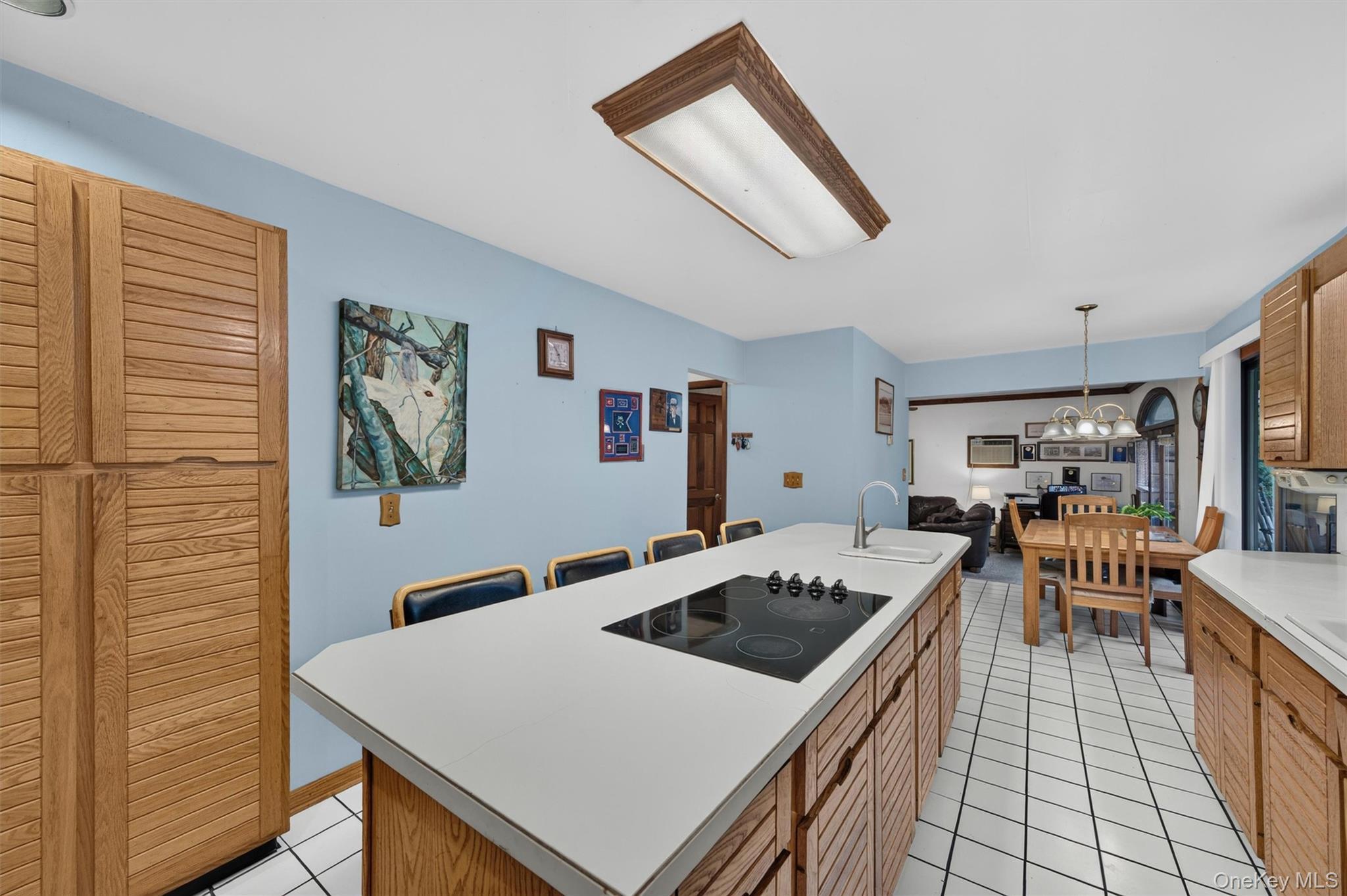 Single Family Tenny Lane Orange County, NY 12518, MLS-1018715-13