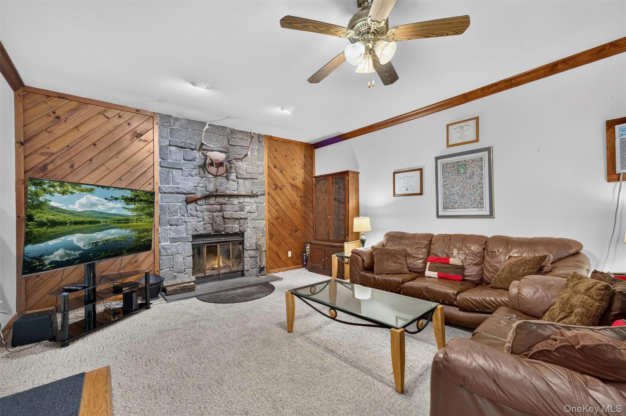 Single Family Tenny Lane Orange County, NY 12518, MLS-1018715-8