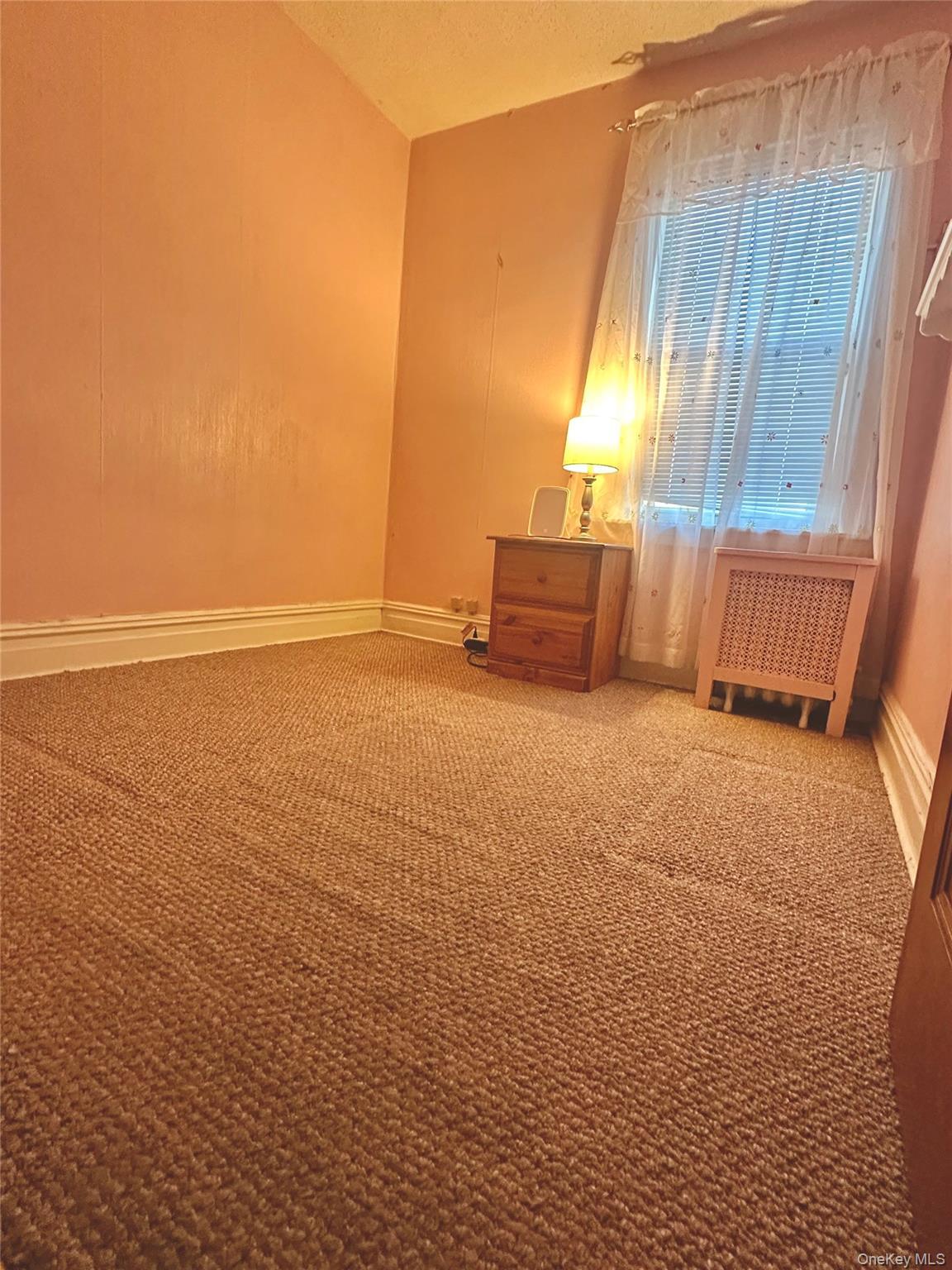 Single Family 222nd Street Queens, NY 11429, MLS-1018739-27