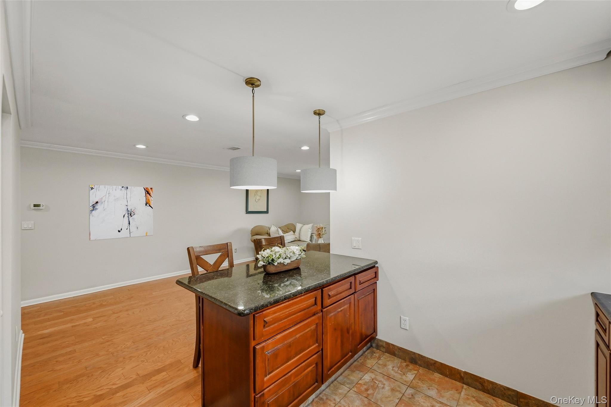 Single Family Omni Parc Drive Rockland County, NY 10954, MLS-1018751-5