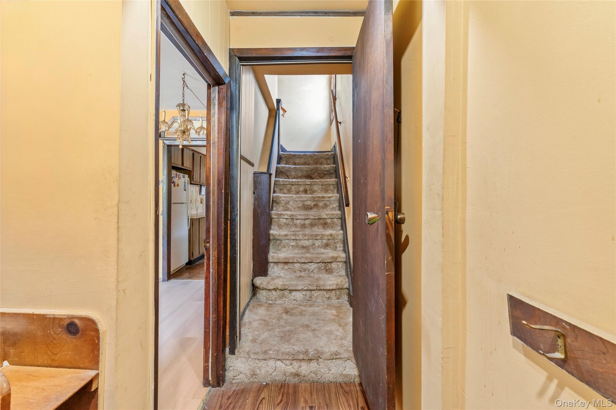 Single Family 218th Street  Queens, NY 11427, MLS-1018775-12