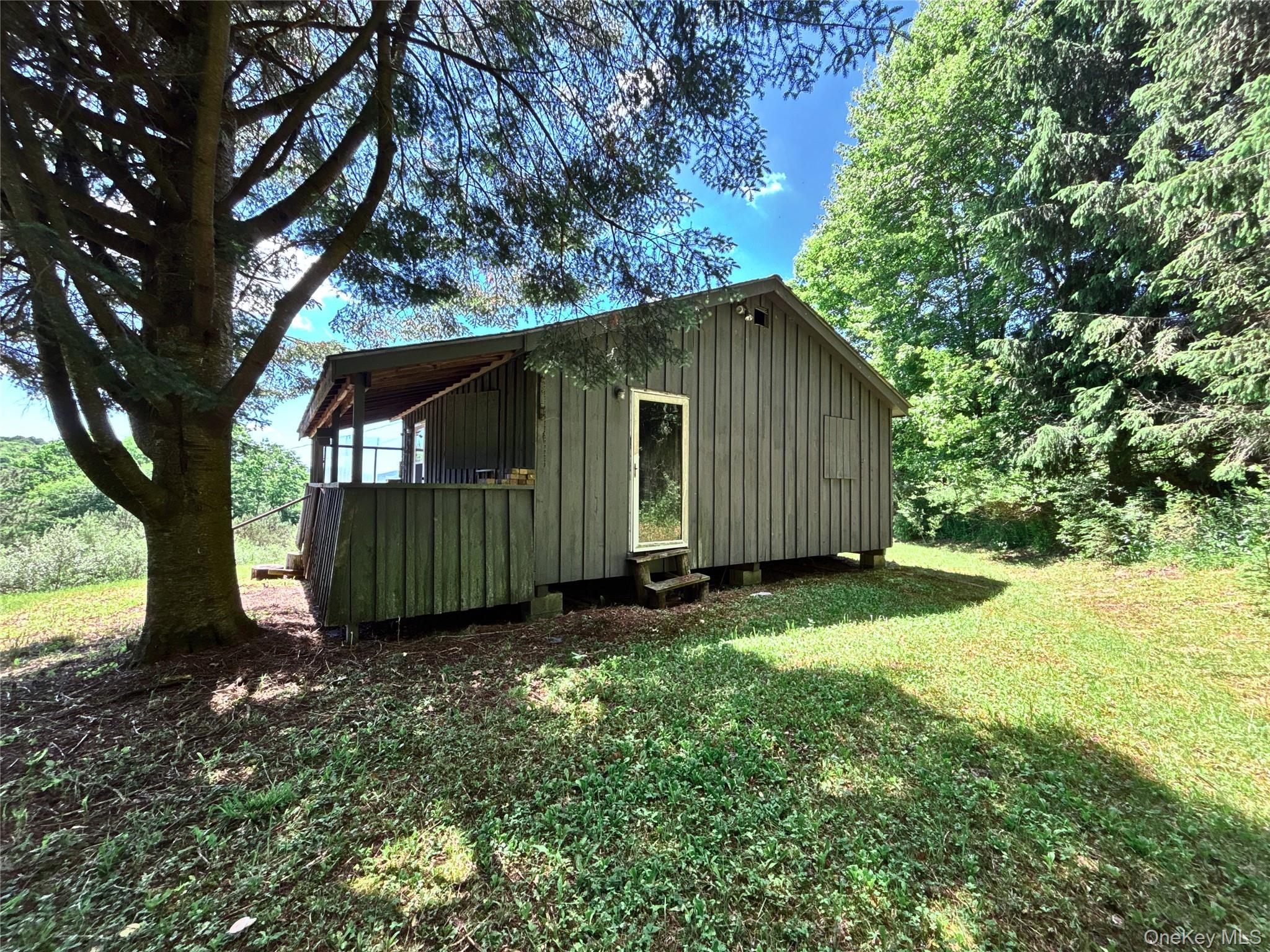 Single Family Murphy Hill Road Delaware County, NY 13731, MLS-1018789-14