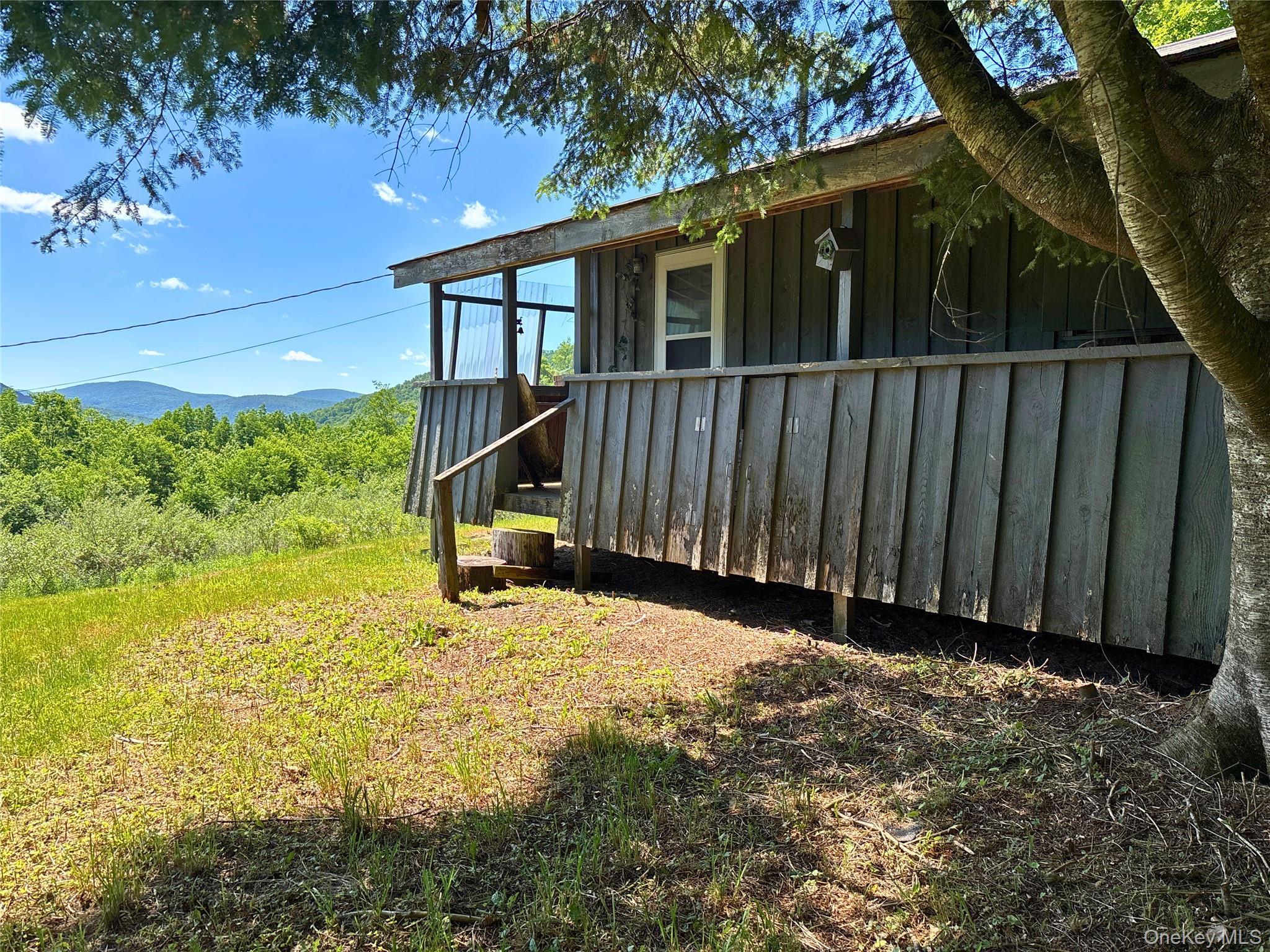 Single Family Murphy Hill Road Delaware County, NY 13731, MLS-1018789-15