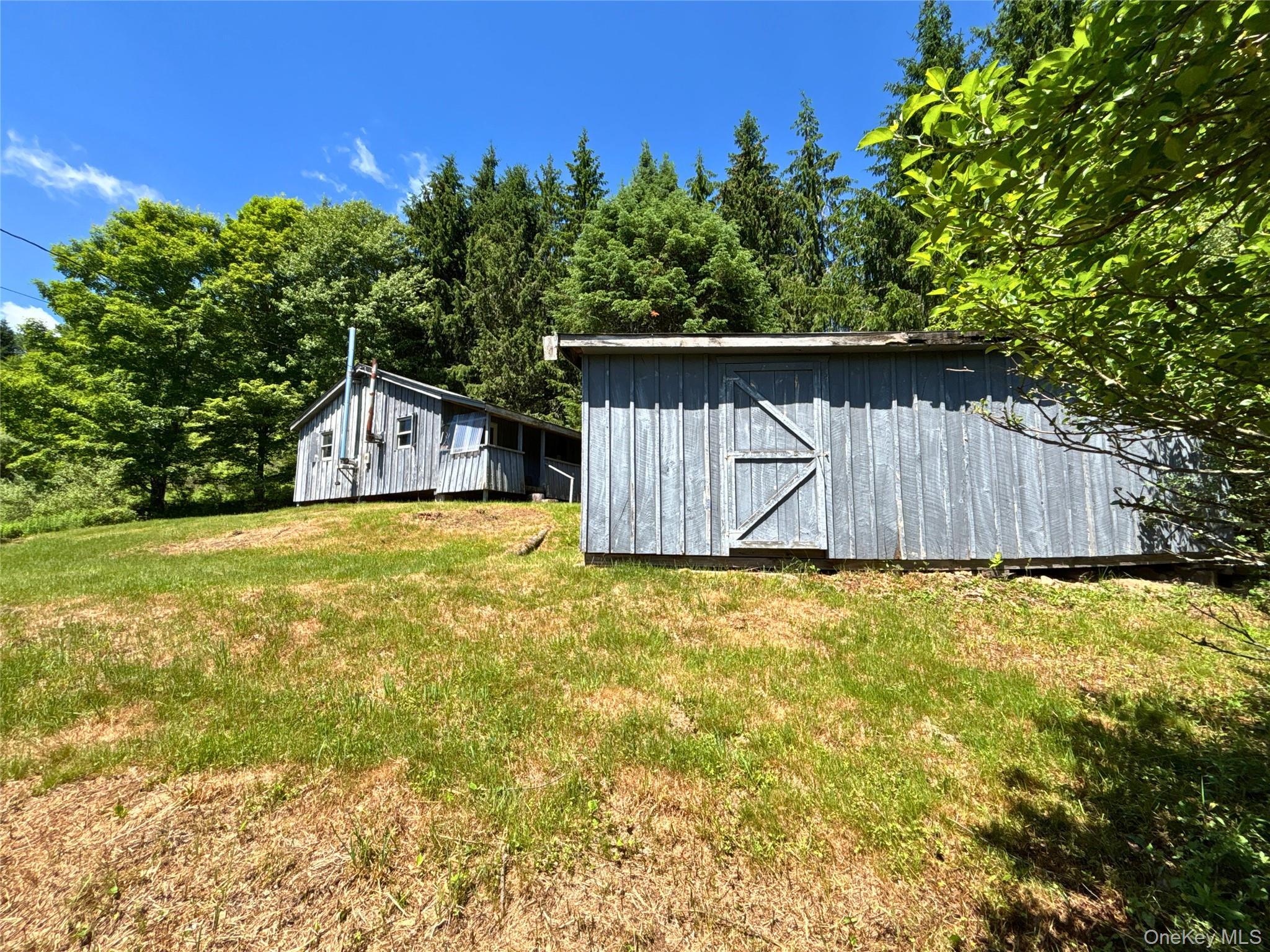 Single Family Murphy Hill Road Delaware County, NY 13731, MLS-1018789-16