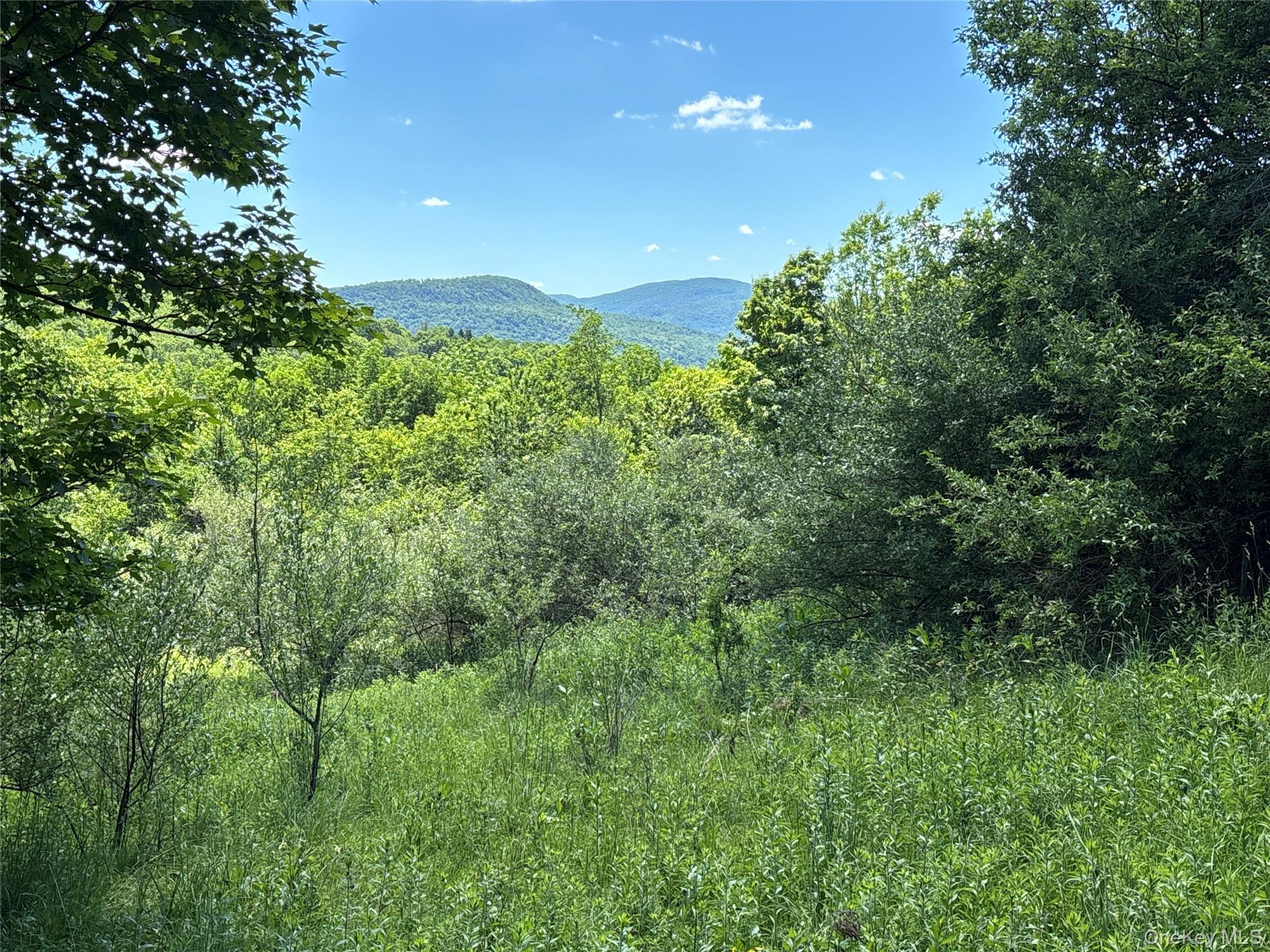 Single Family Murphy Hill Road Delaware County, NY 13731, MLS-1018789-18