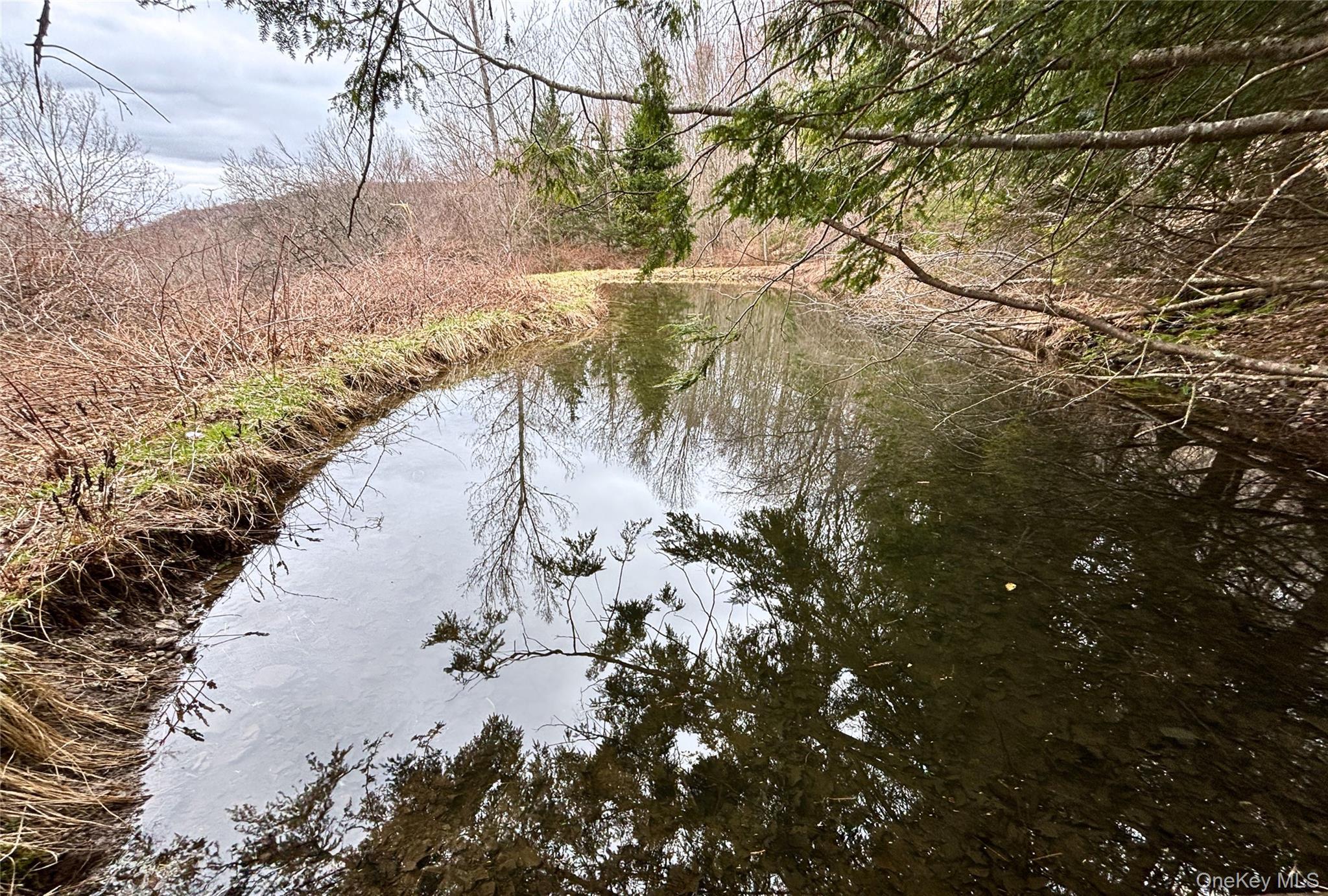 Single Family Murphy Hill Road Delaware County, NY 13731, MLS-1018789-19