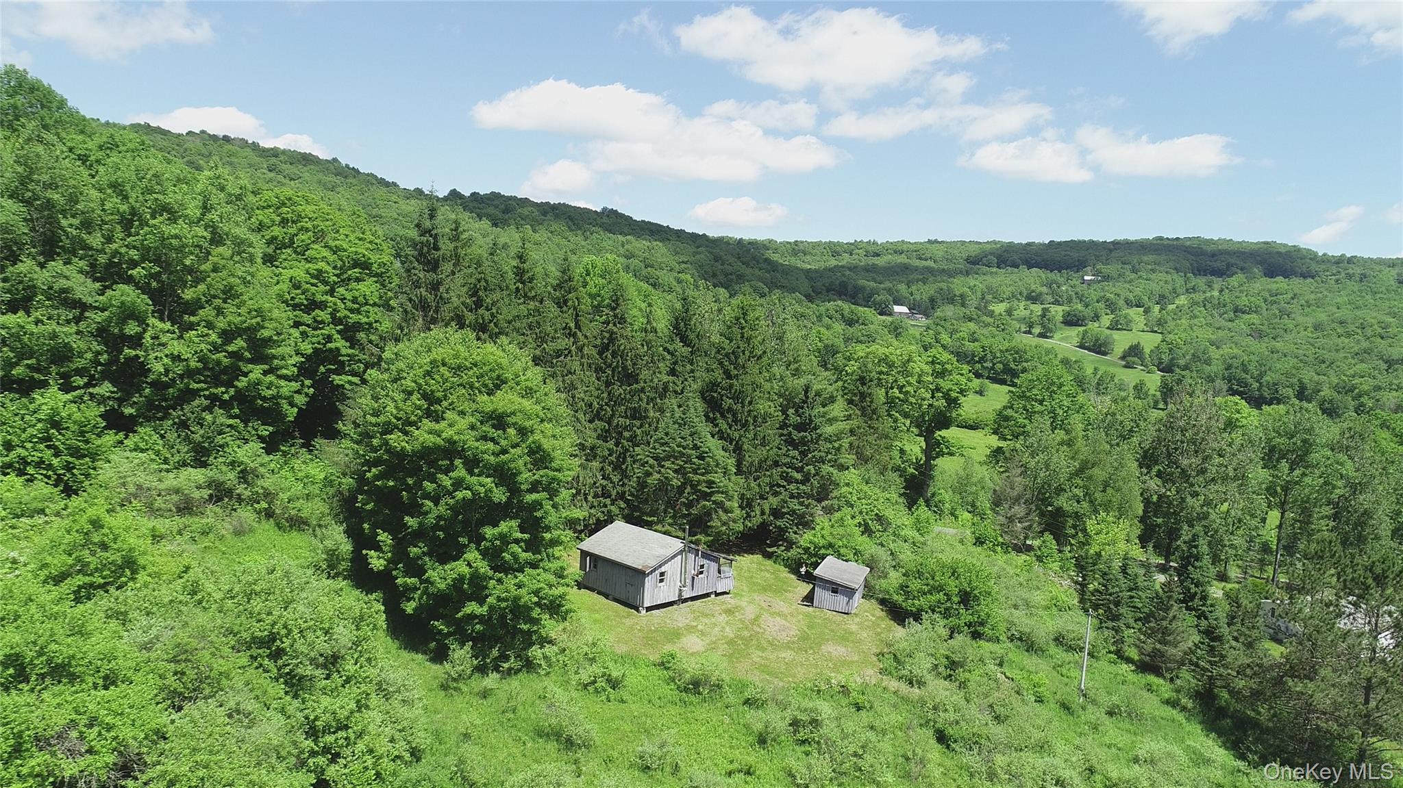 Single Family Murphy Hill Road Delaware County, NY 13731, MLS-1018789-2