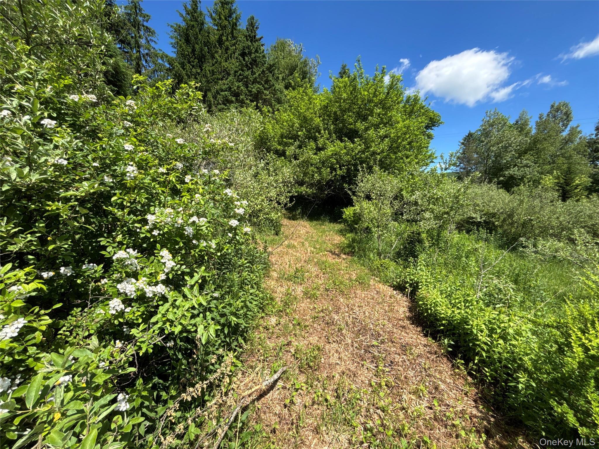 Single Family Murphy Hill Road Delaware County, NY 13731, MLS-1018789-21