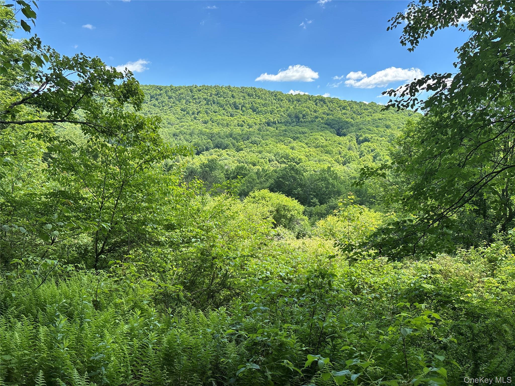 Single Family Murphy Hill Road Delaware County, NY 13731, MLS-1018789-22