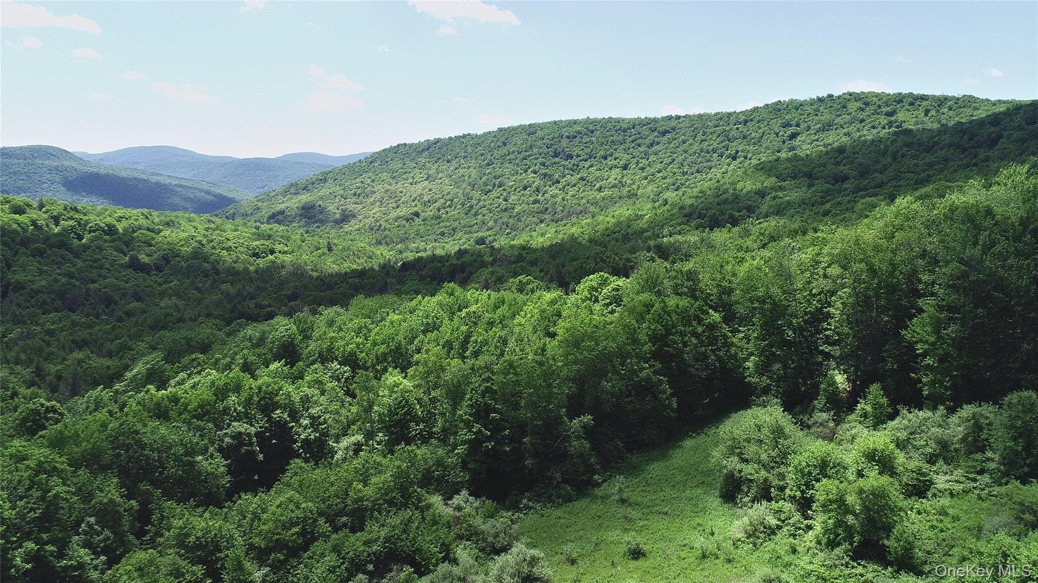 Single Family Murphy Hill Road Delaware County, NY 13731, MLS-1018789-25