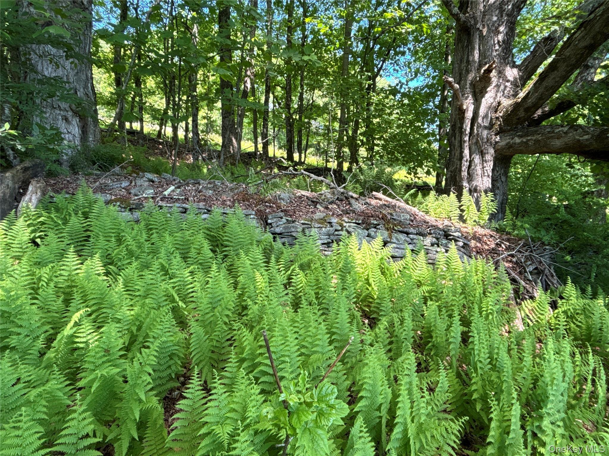 Single Family Murphy Hill Road Delaware County, NY 13731, MLS-1018789-28