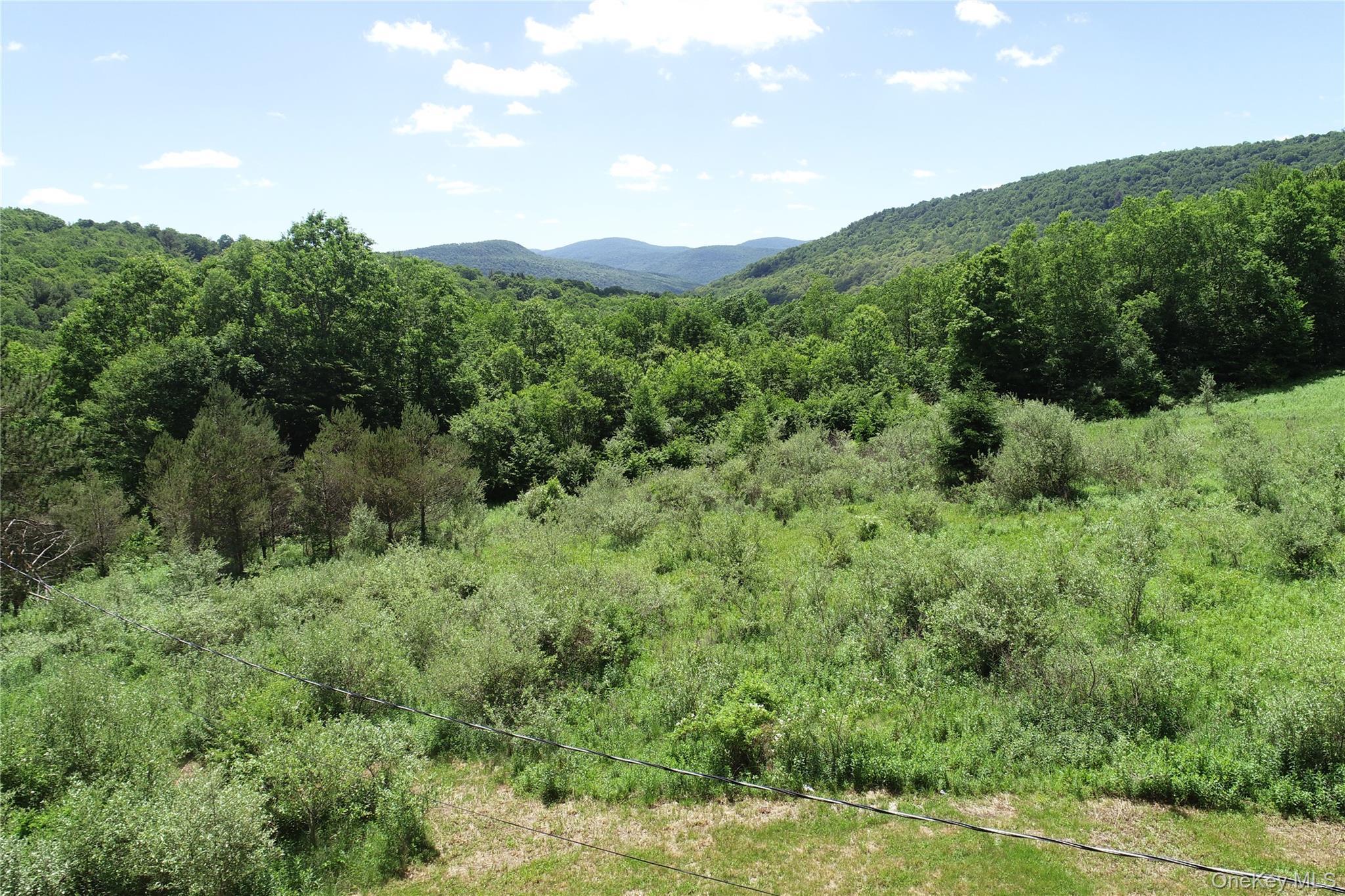 Single Family Murphy Hill Road Delaware County, NY 13731, MLS-1018789-3