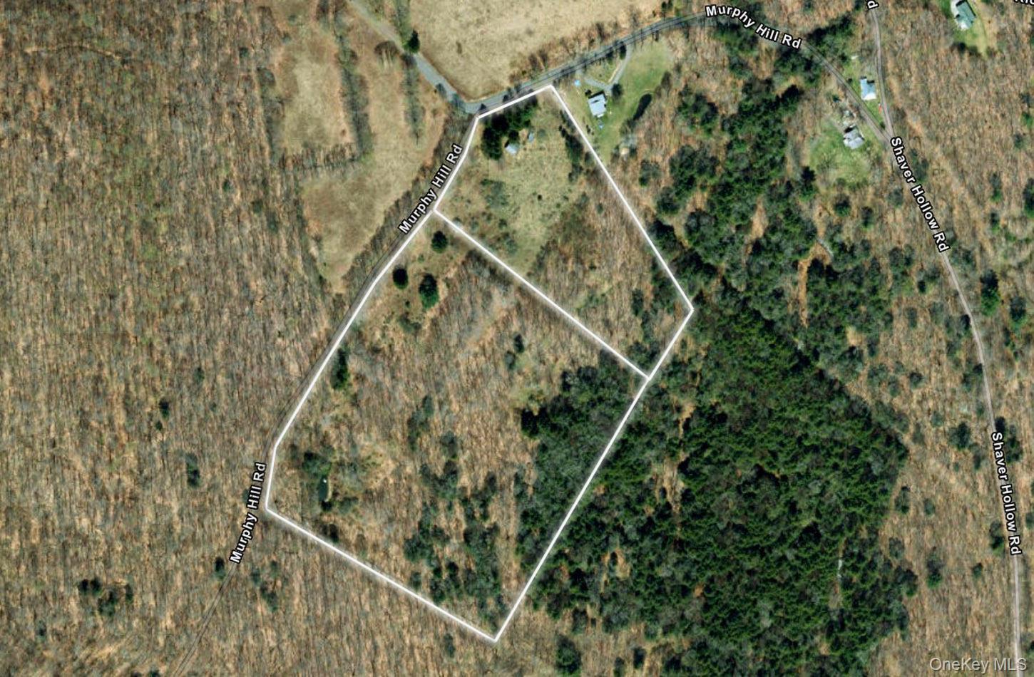 Single Family Murphy Hill Road Delaware County, NY 13731, MLS-1018789-31