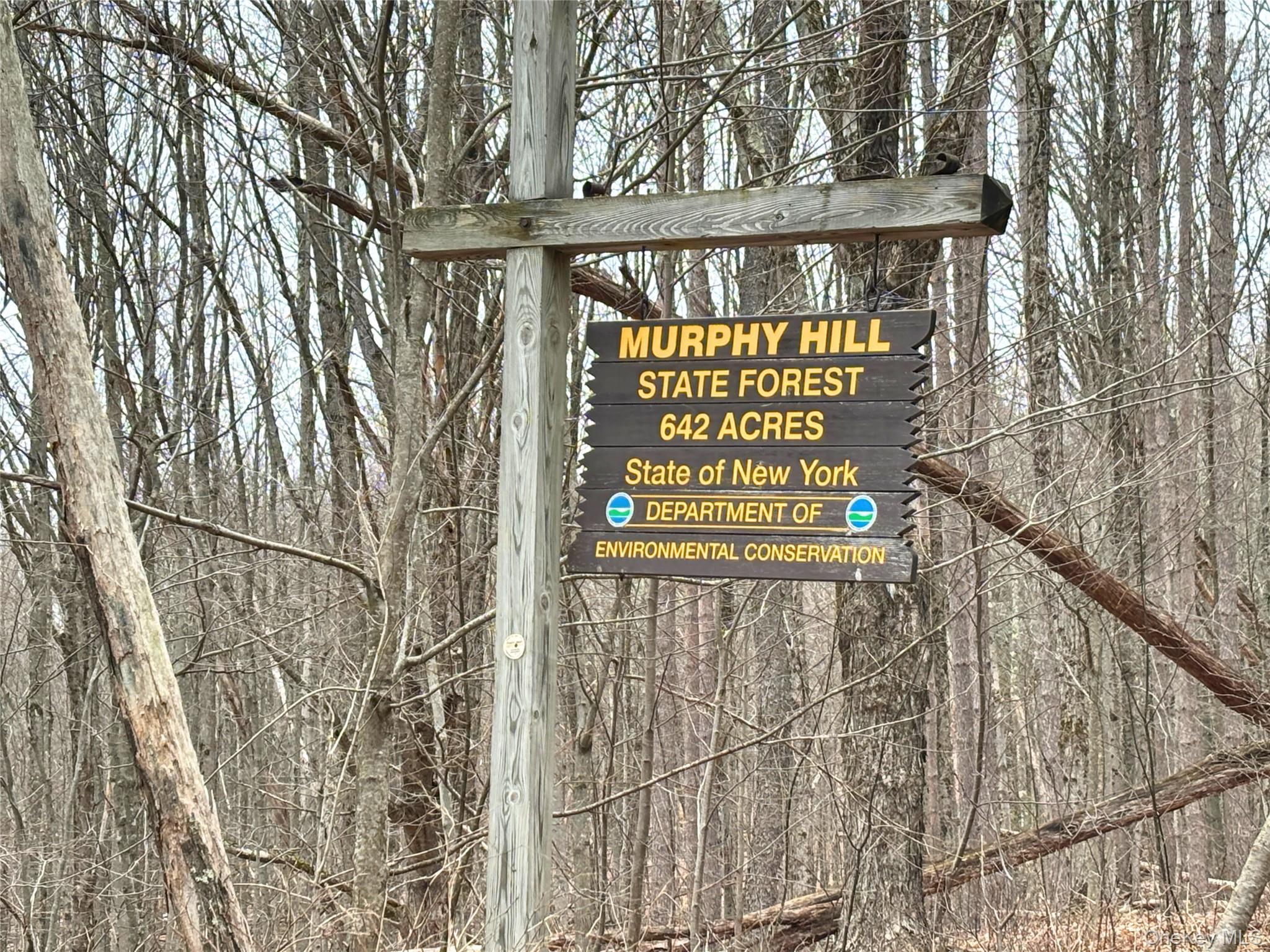 Single Family Murphy Hill Road Delaware County, NY 13731, MLS-1018789-32