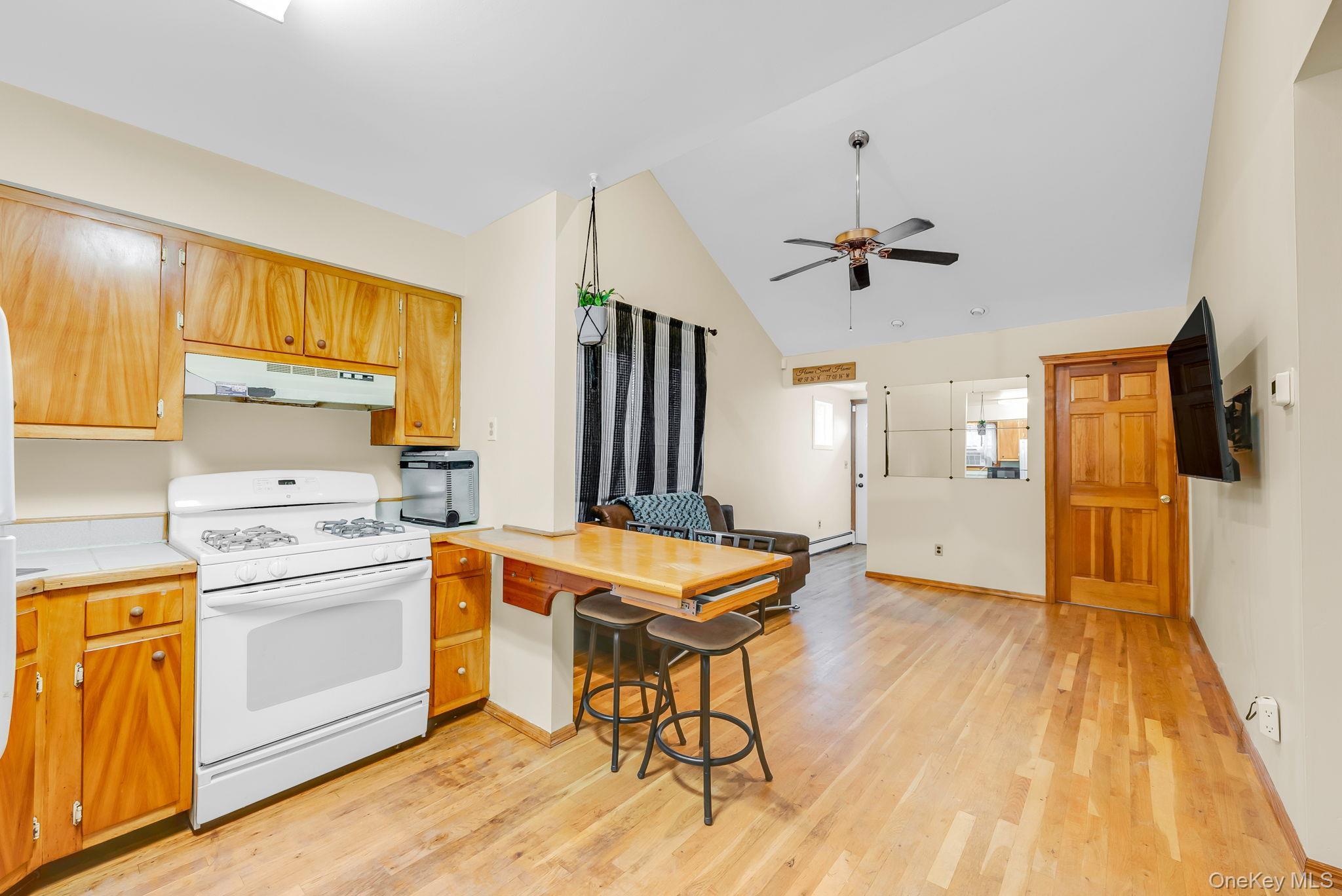 Single Family College Road  Suffolk County, NY 11738, MLS-1018810-10