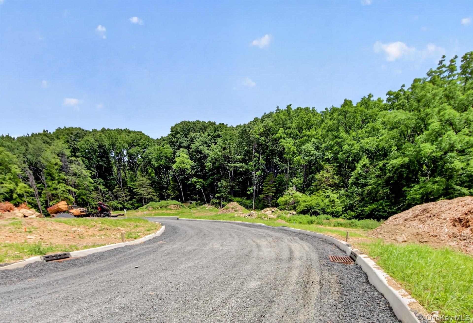 Single Family Lindenwood Lane Orange County, NY 12550, MLS-1018888-12