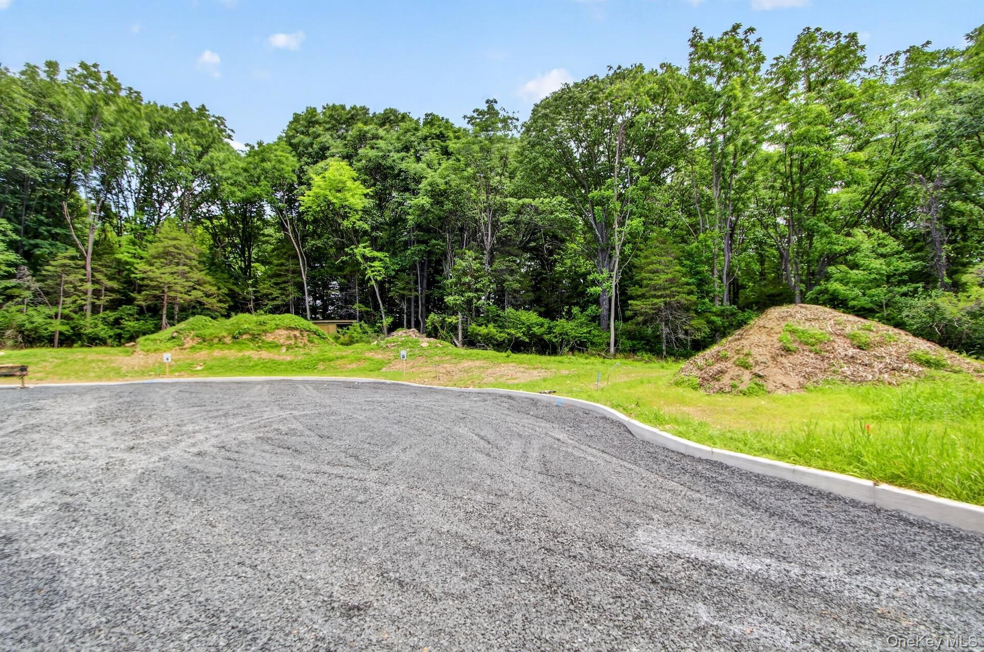 Single Family Lindenwood Lane Orange County, NY 12550, MLS-1018888-7