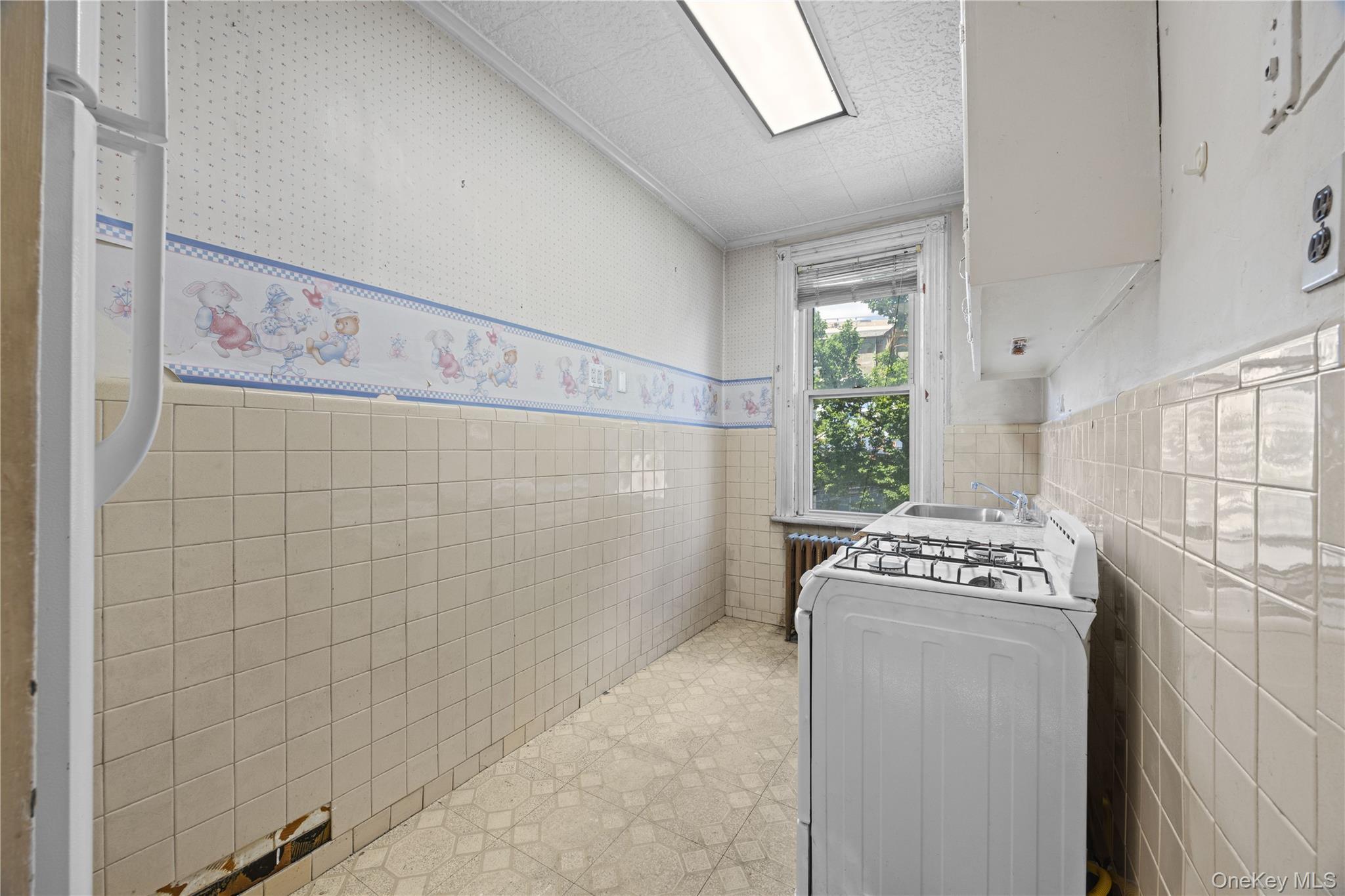 Single Family Morrispark Bronx, NY 10462, MLS-1018926-11