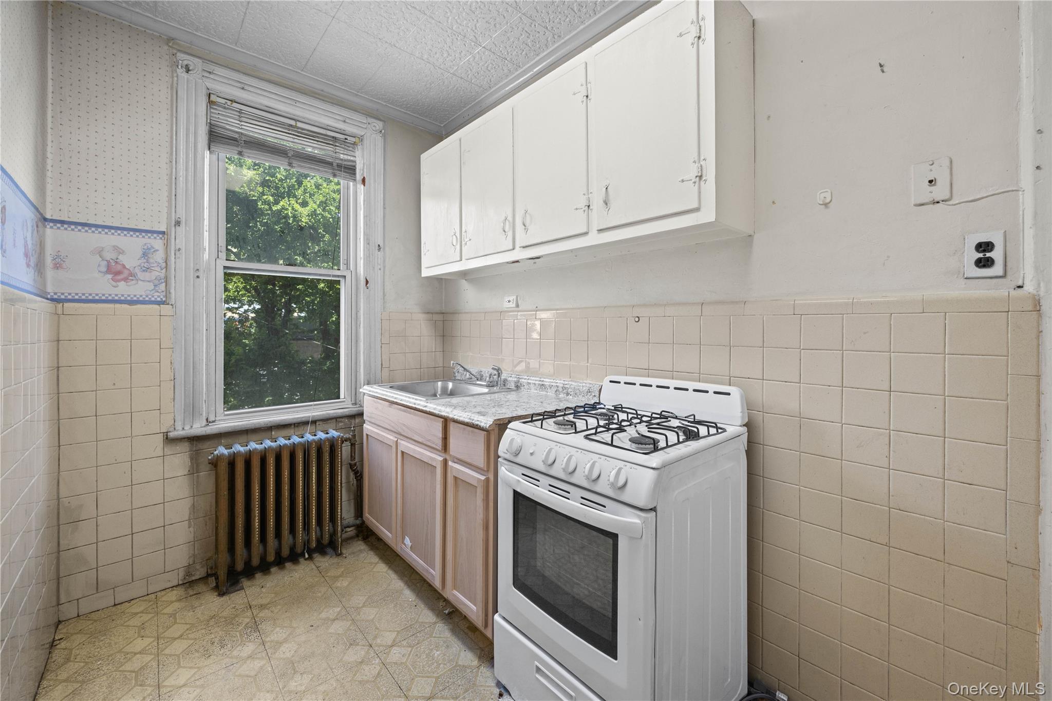 Single Family Morrispark Bronx, NY 10462, MLS-1018926-12