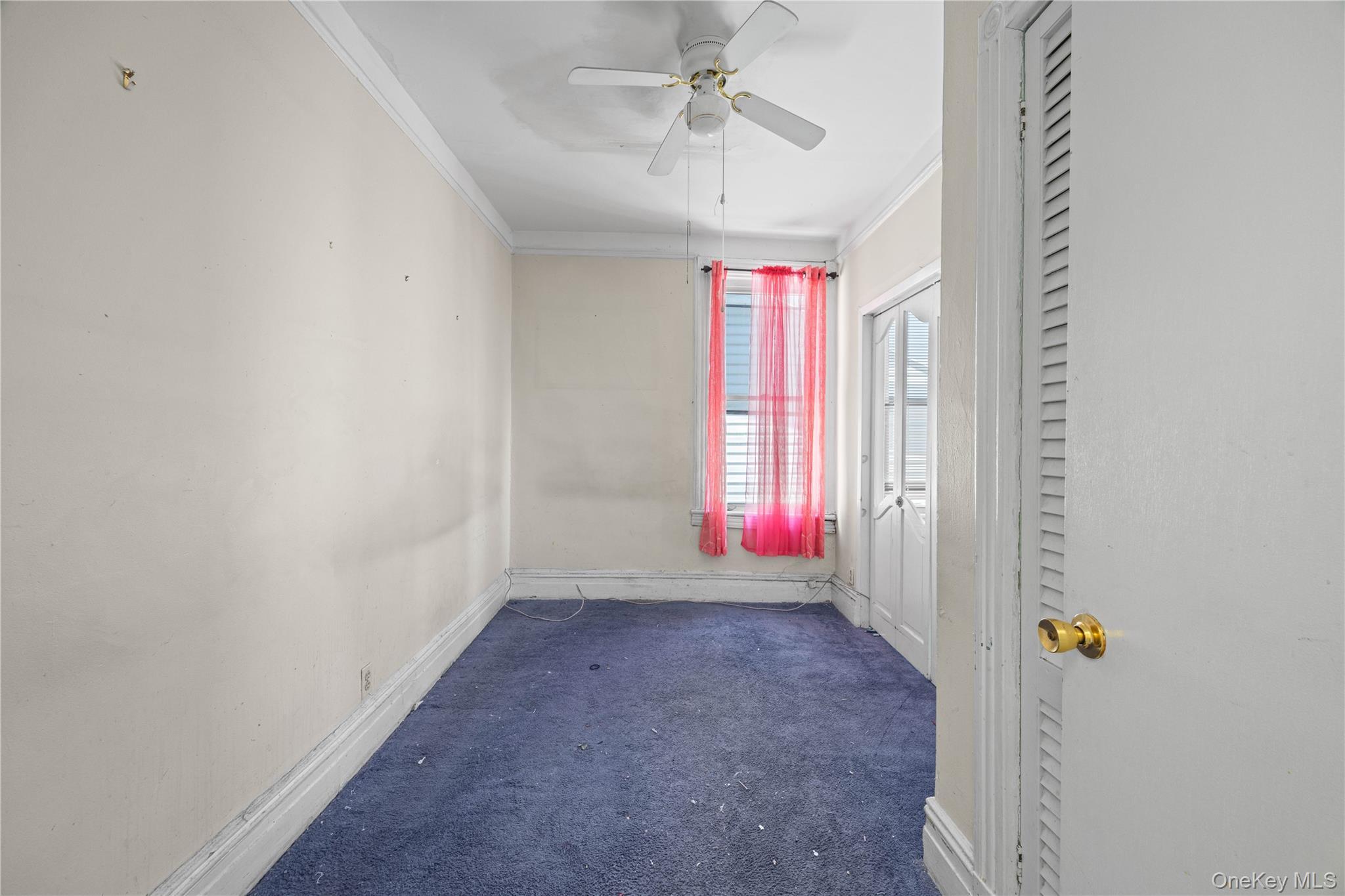 Single Family Morrispark Bronx, NY 10462, MLS-1018926-15
