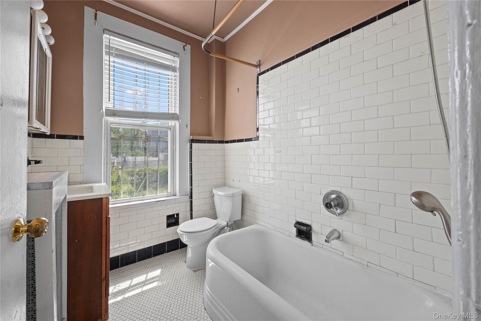 Single Family Morrispark Bronx, NY 10462, MLS-1018926-17