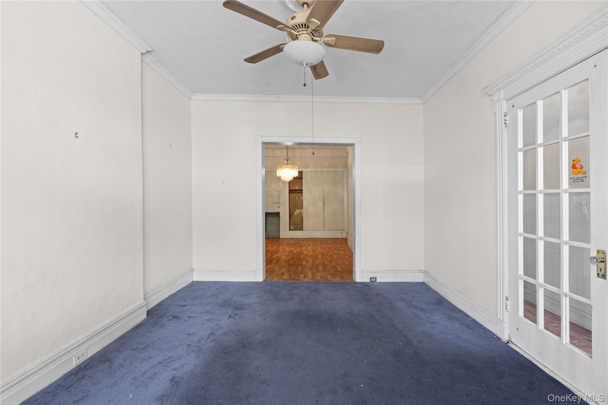 Single Family Morrispark Bronx, NY 10462, MLS-1018926-7
