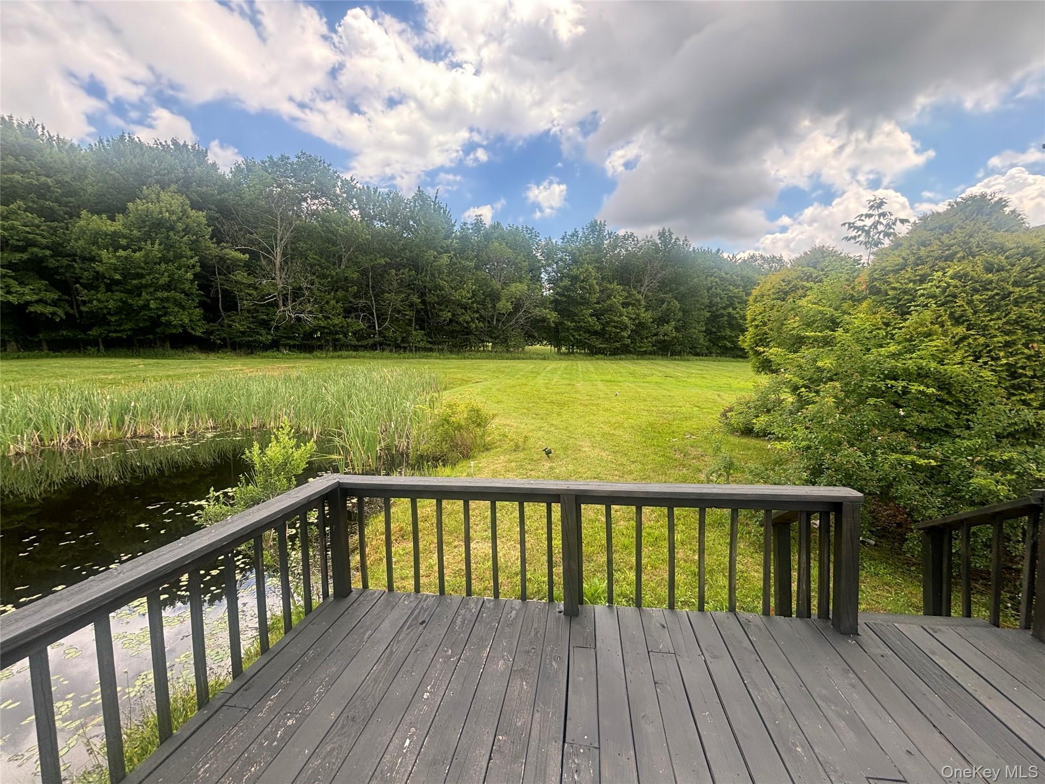 Single Family Campbell Road  Delaware County, NY 13775, MLS-1018927-30