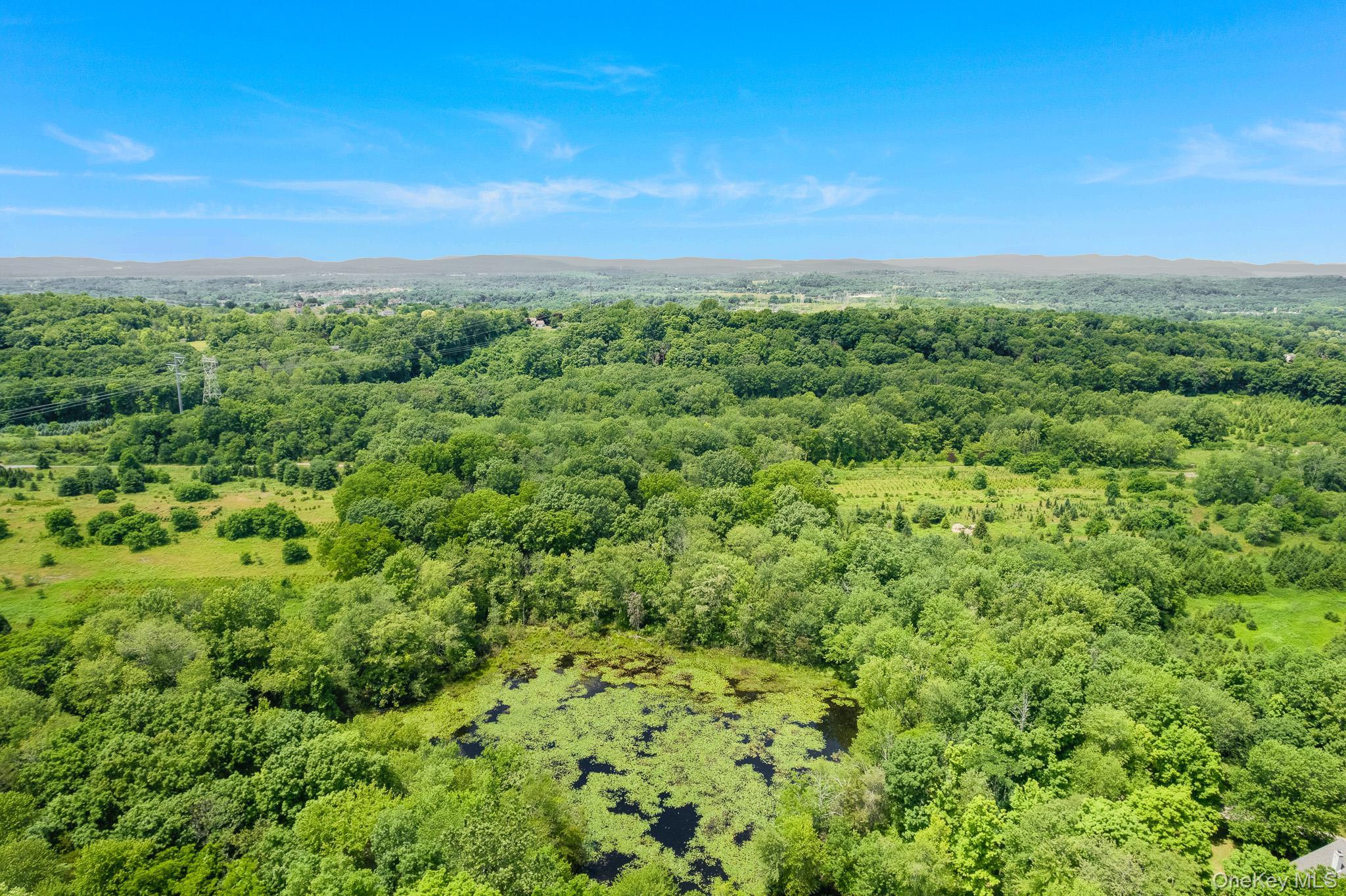 Single Family Traver Road Dutchess County, NY 12569, MLS-1018948-18