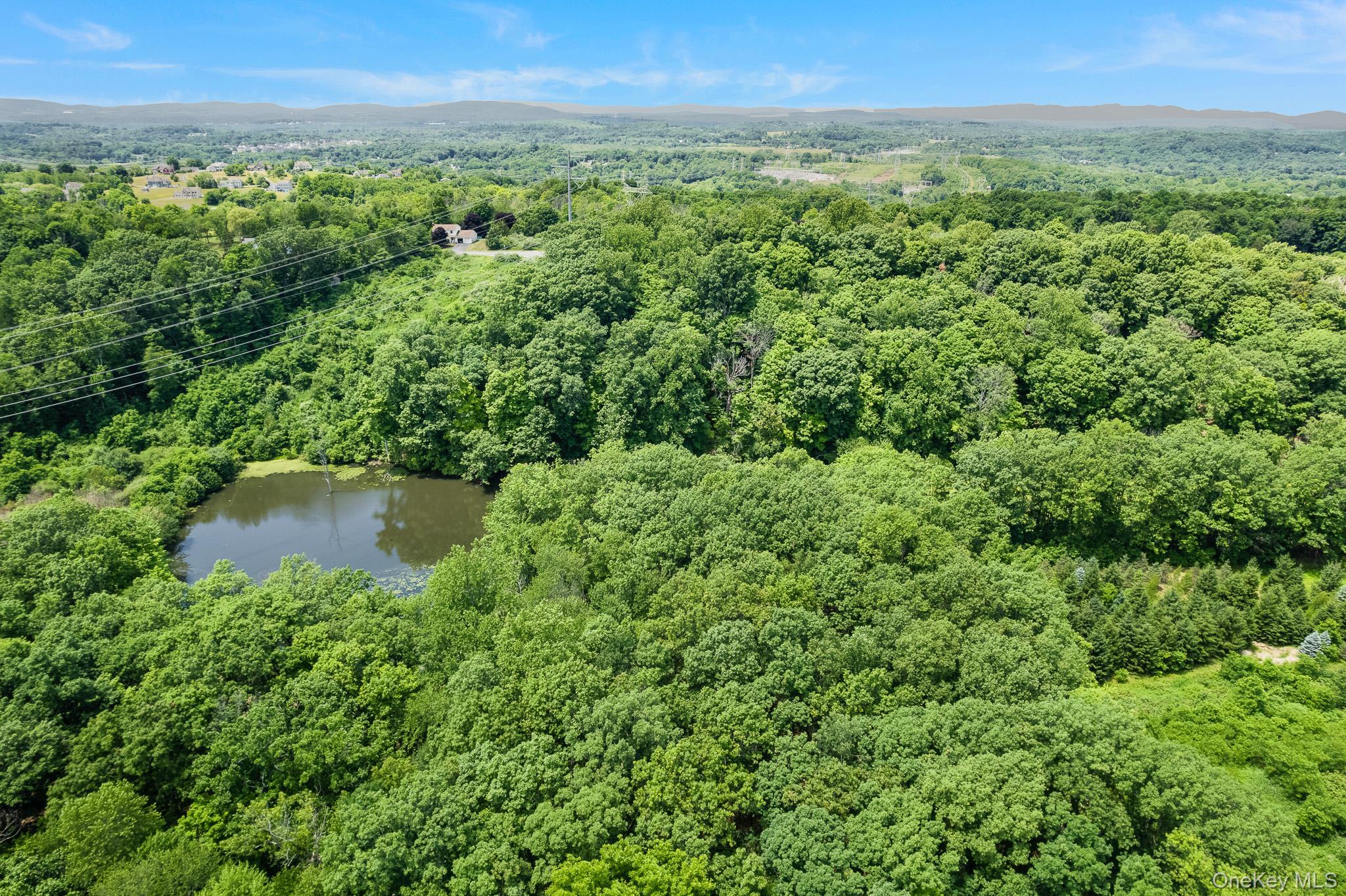 Single Family Traver Road Dutchess County, NY 12569, MLS-1018948-19