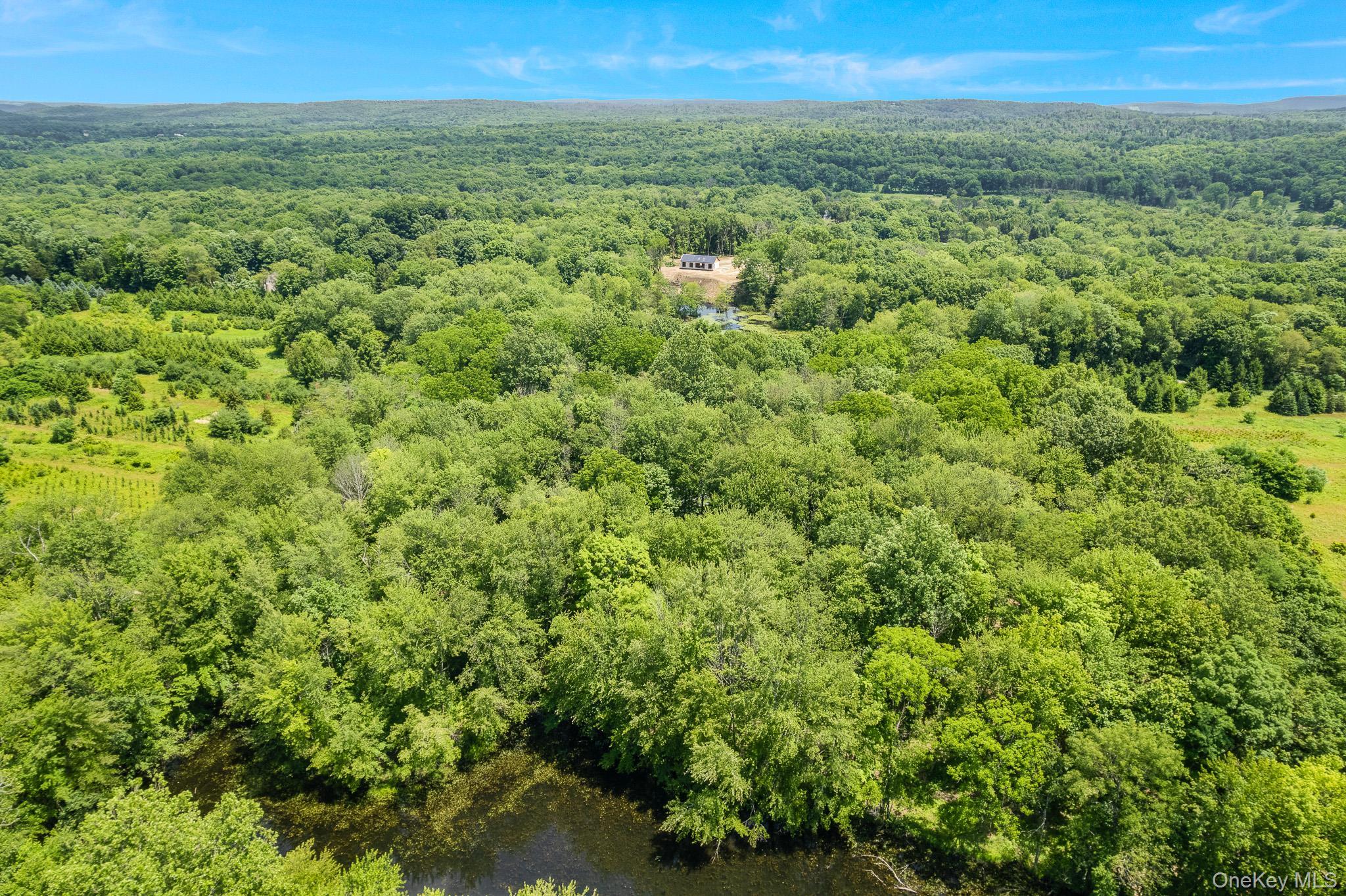 Single Family Traver Road Dutchess County, NY 12569, MLS-1018948-20