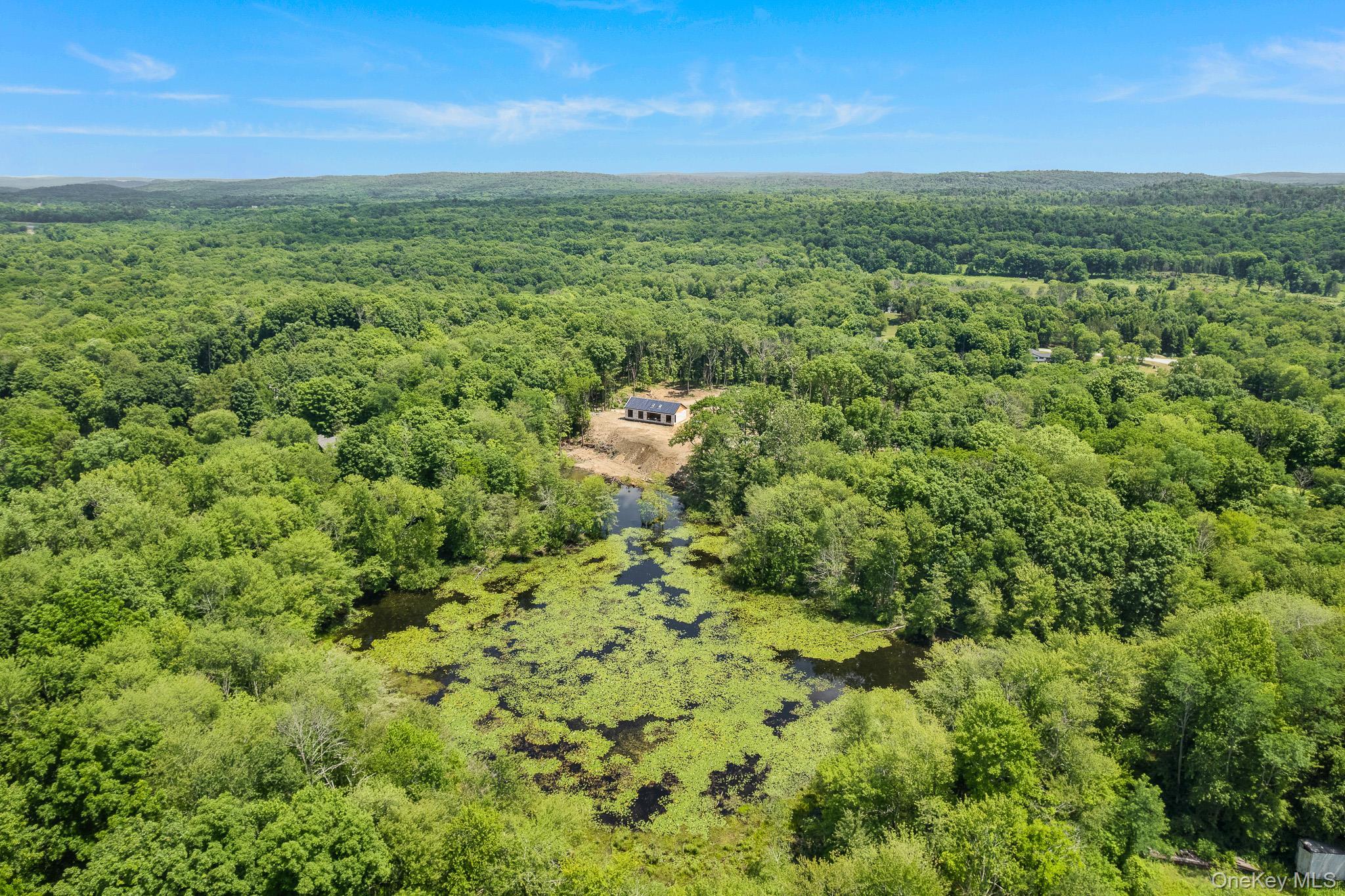 Single Family Traver Road Dutchess County, NY 12569, MLS-1018948-21