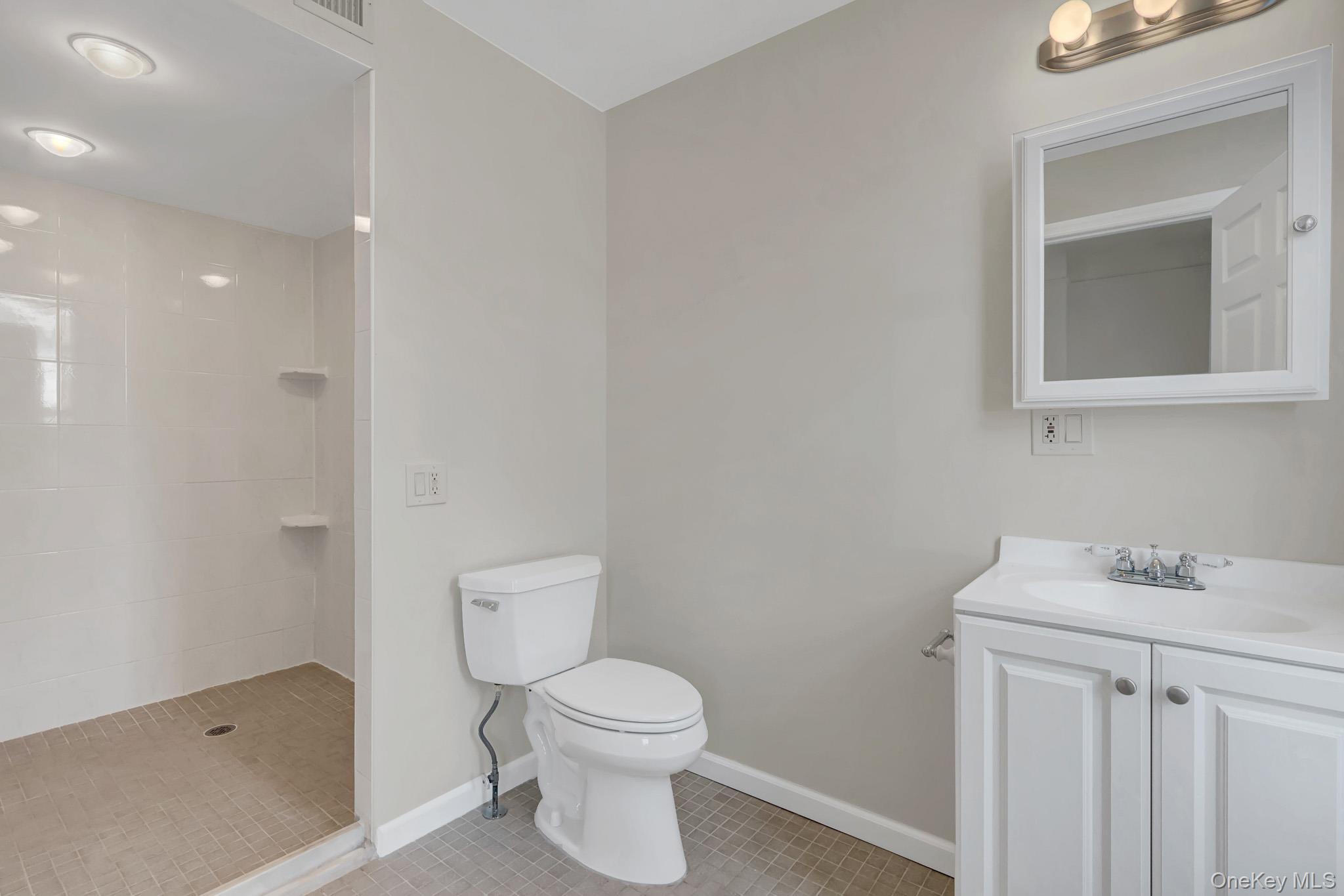 Single Family Columbia Street Nassau County, NY 11735, MLS-1019049-12