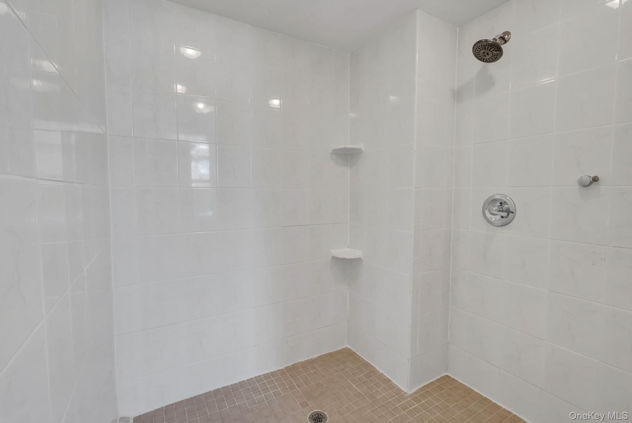 Single Family Columbia Street Nassau County, NY 11735, MLS-1019049-13