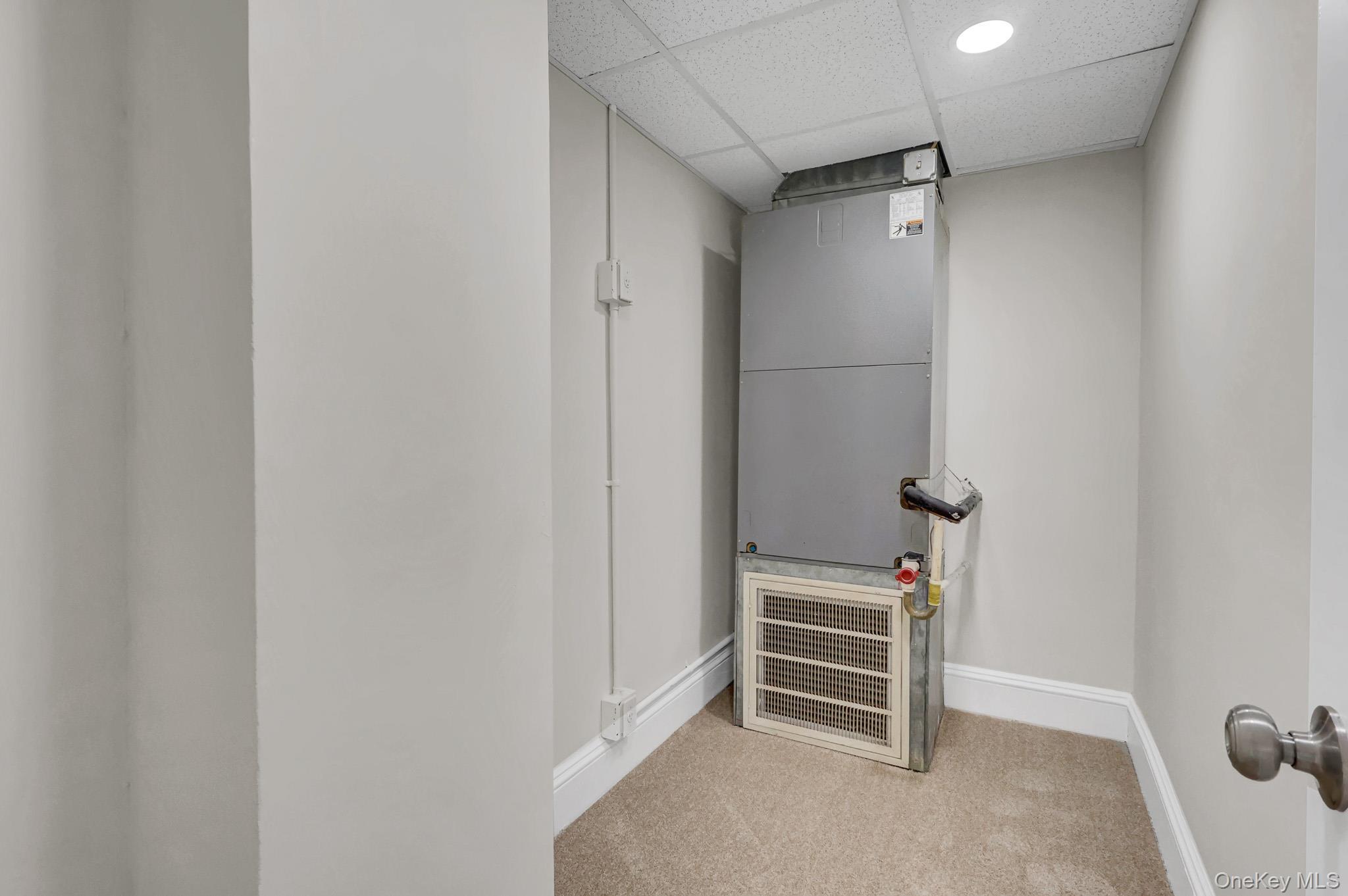 Single Family Columbia Street Nassau County, NY 11735, MLS-1019049-18