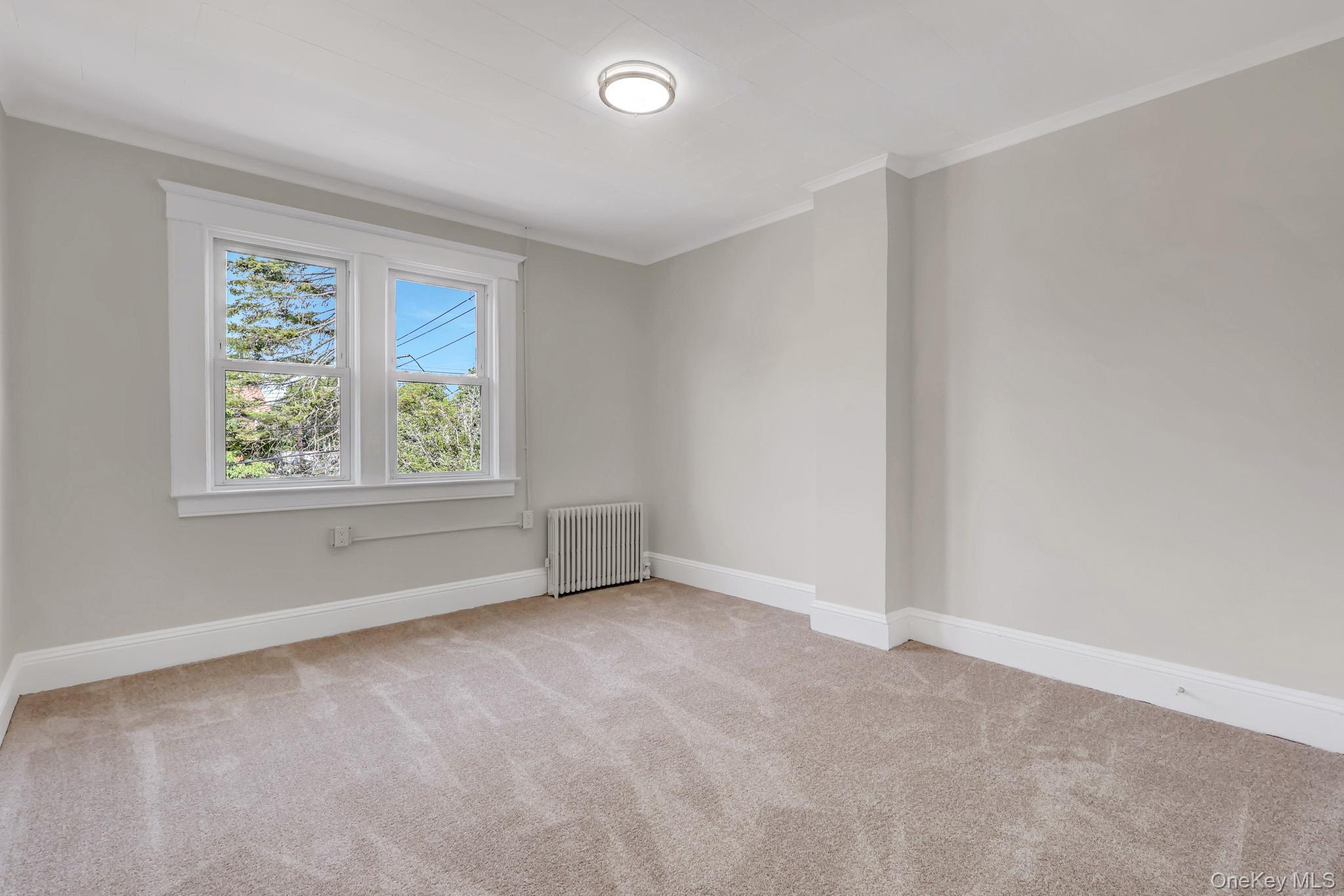 Single Family Columbia Street Nassau County, NY 11735, MLS-1019049-21