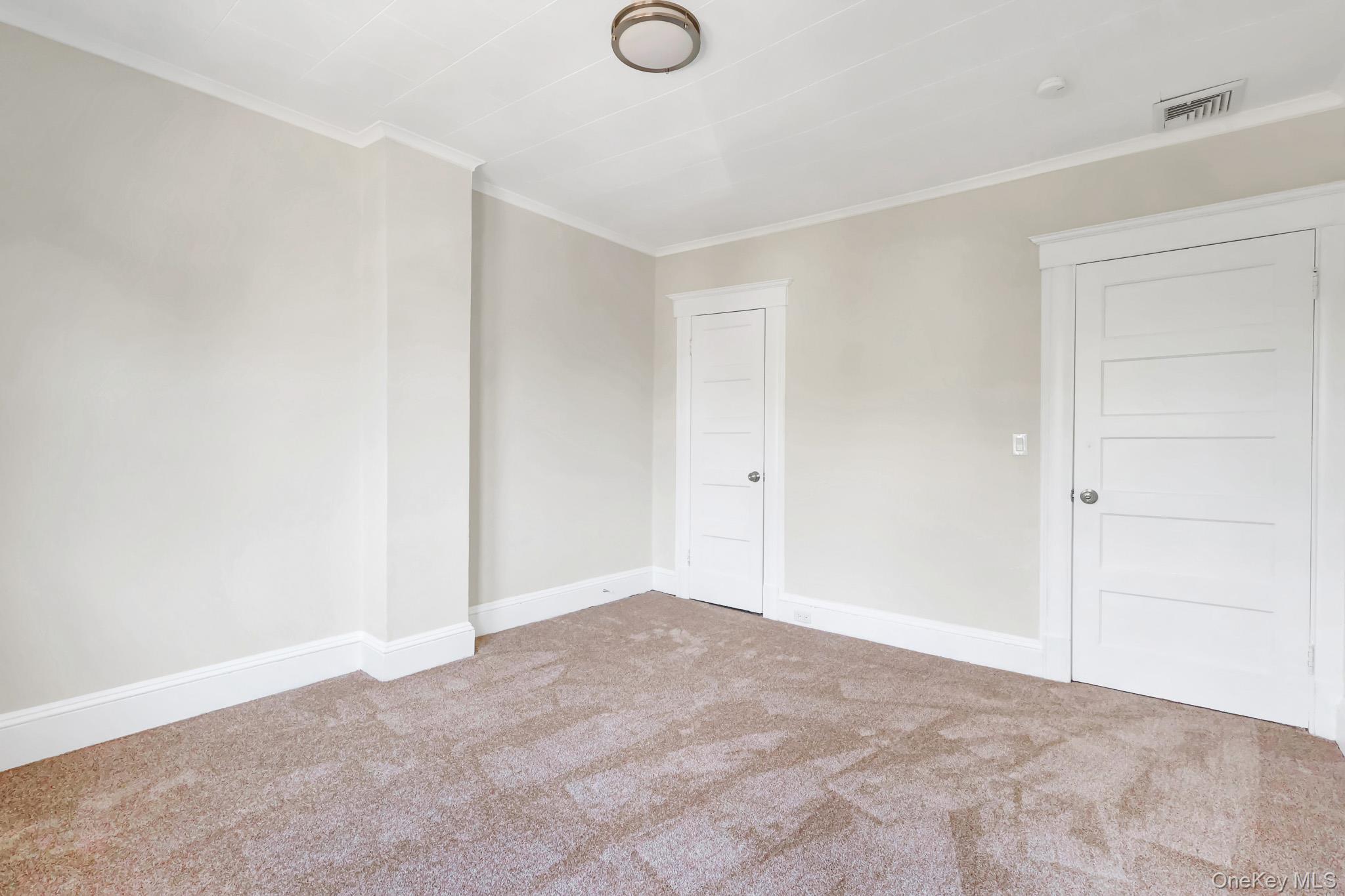 Single Family Columbia Street Nassau County, NY 11735, MLS-1019049-22