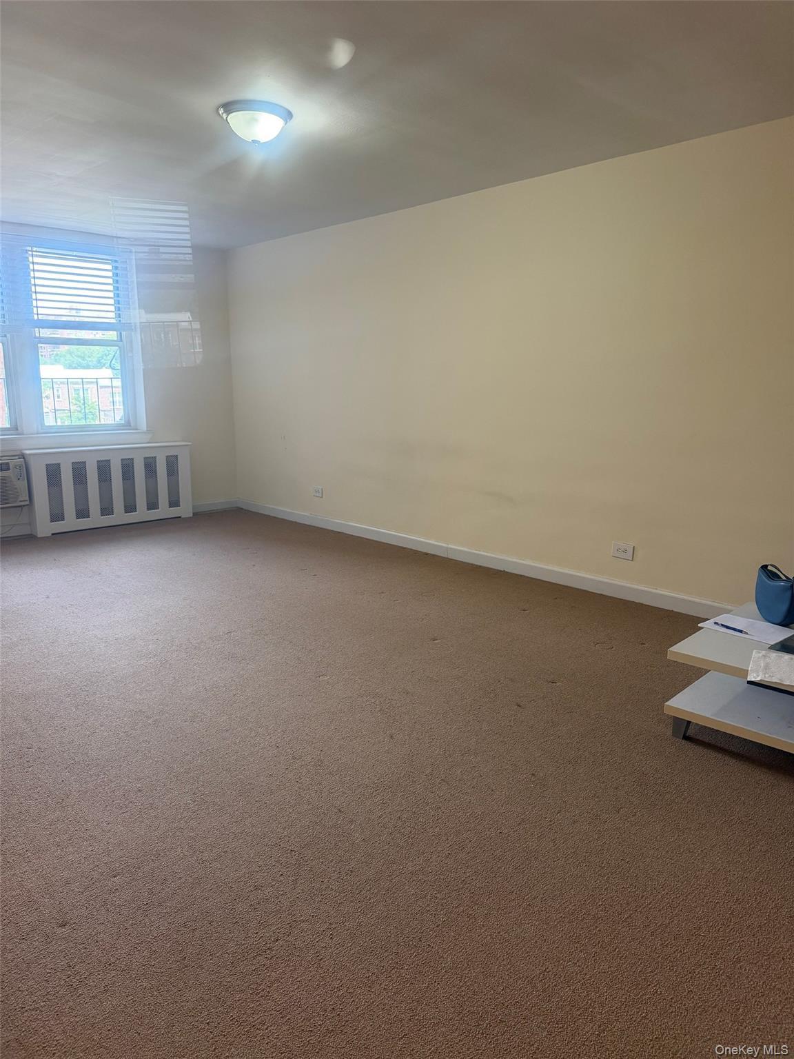 Apartment Burns Street  Queens, NY 11375, MLS-1019084-2