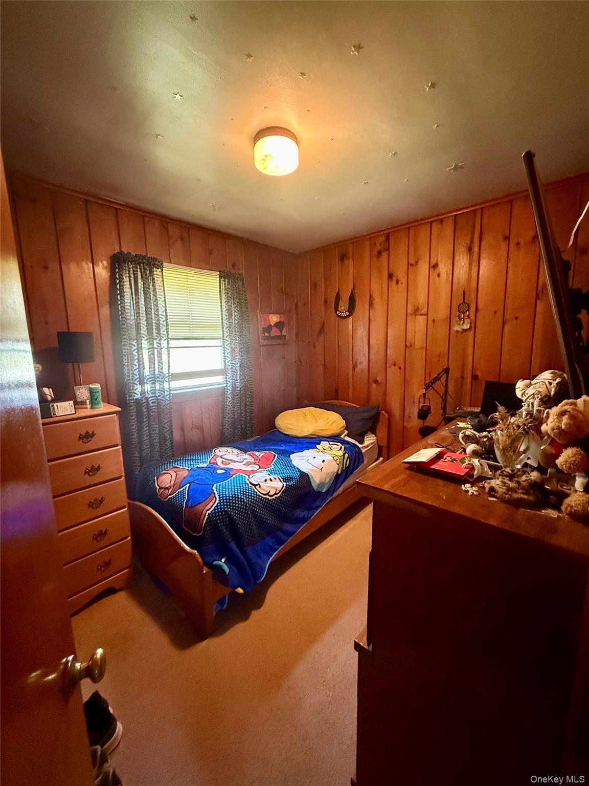 Single Family Route 52 Dutchess County, NY 12524, MLS-1019105-10