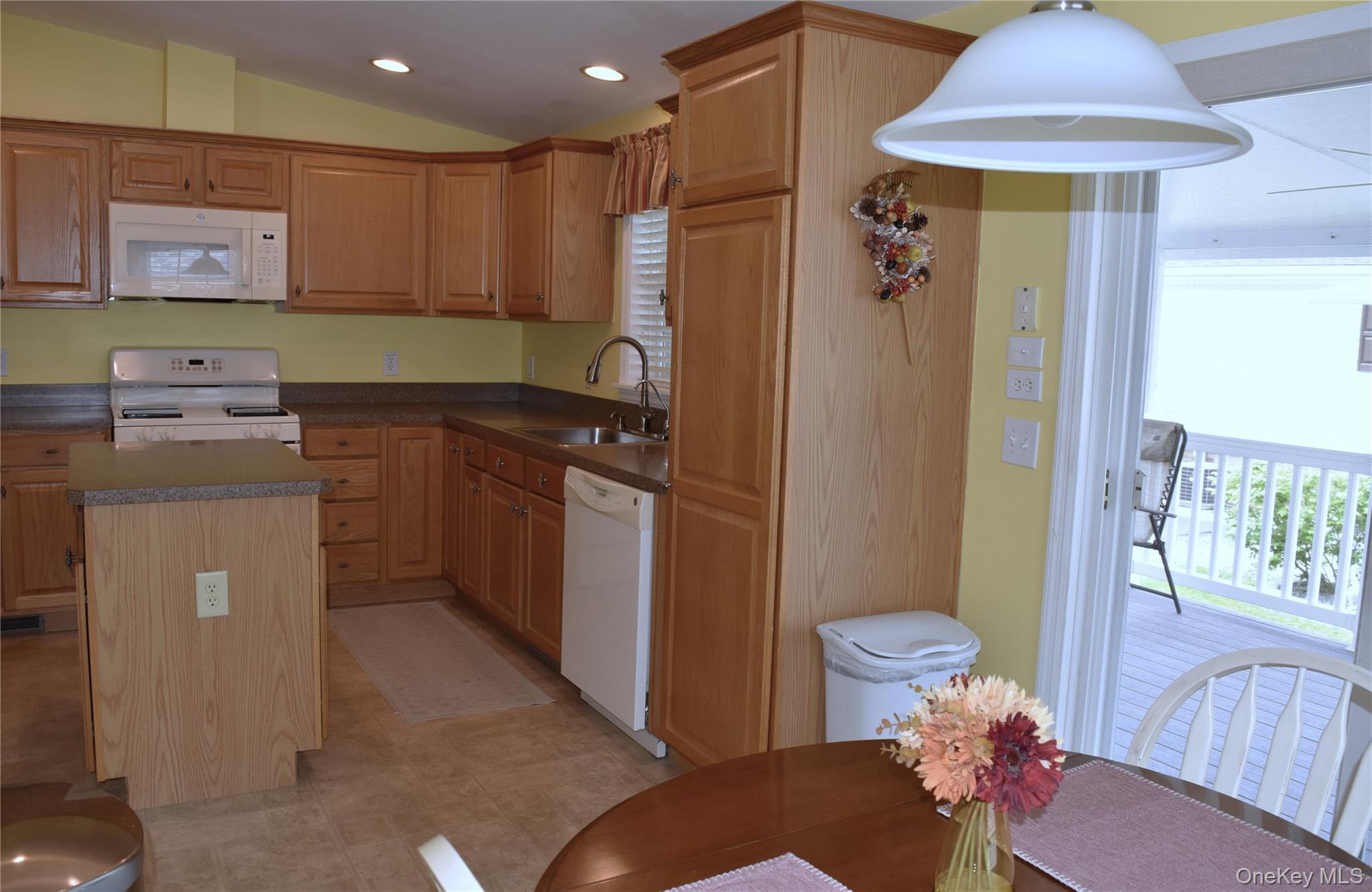 Single Family Brittany Terrace Orange County, NY 12575, MLS-1019147-16