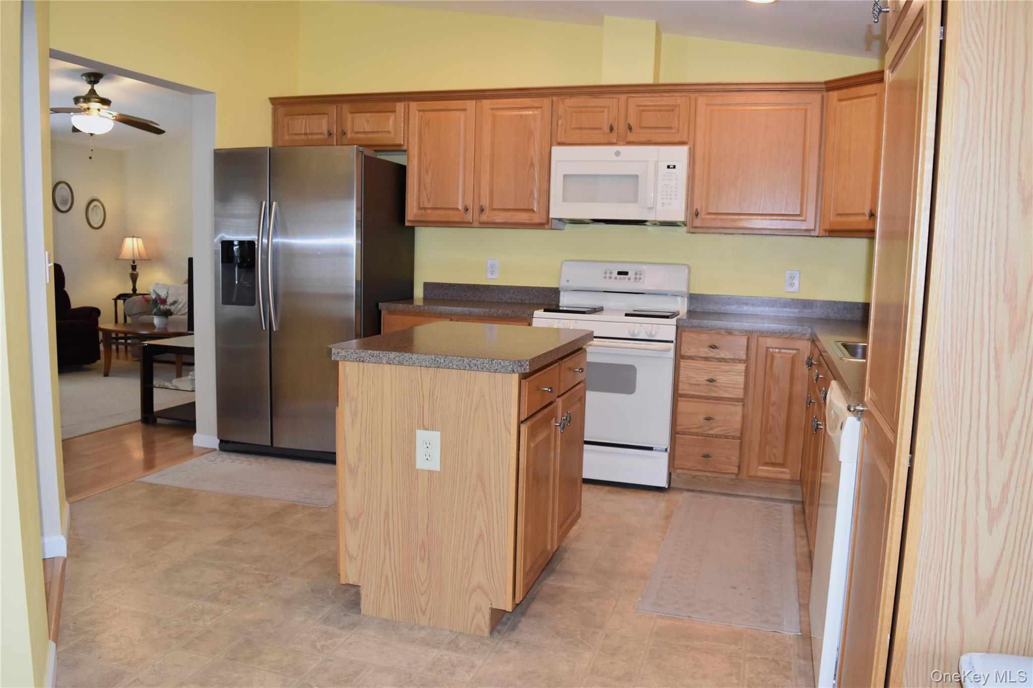 Single Family Brittany Terrace Orange County, NY 12575, MLS-1019147-20